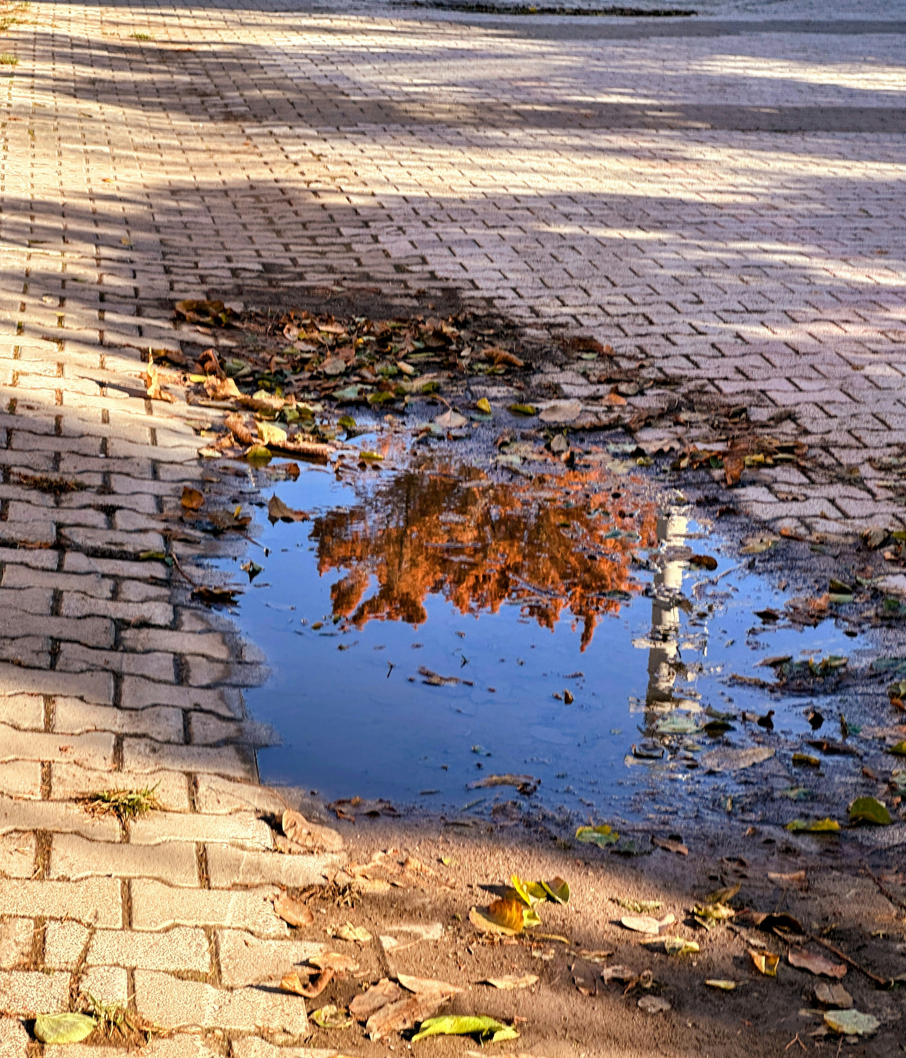 1. Proactive Planning