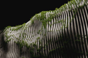 A black and white photo of a wall with grass growing on it
