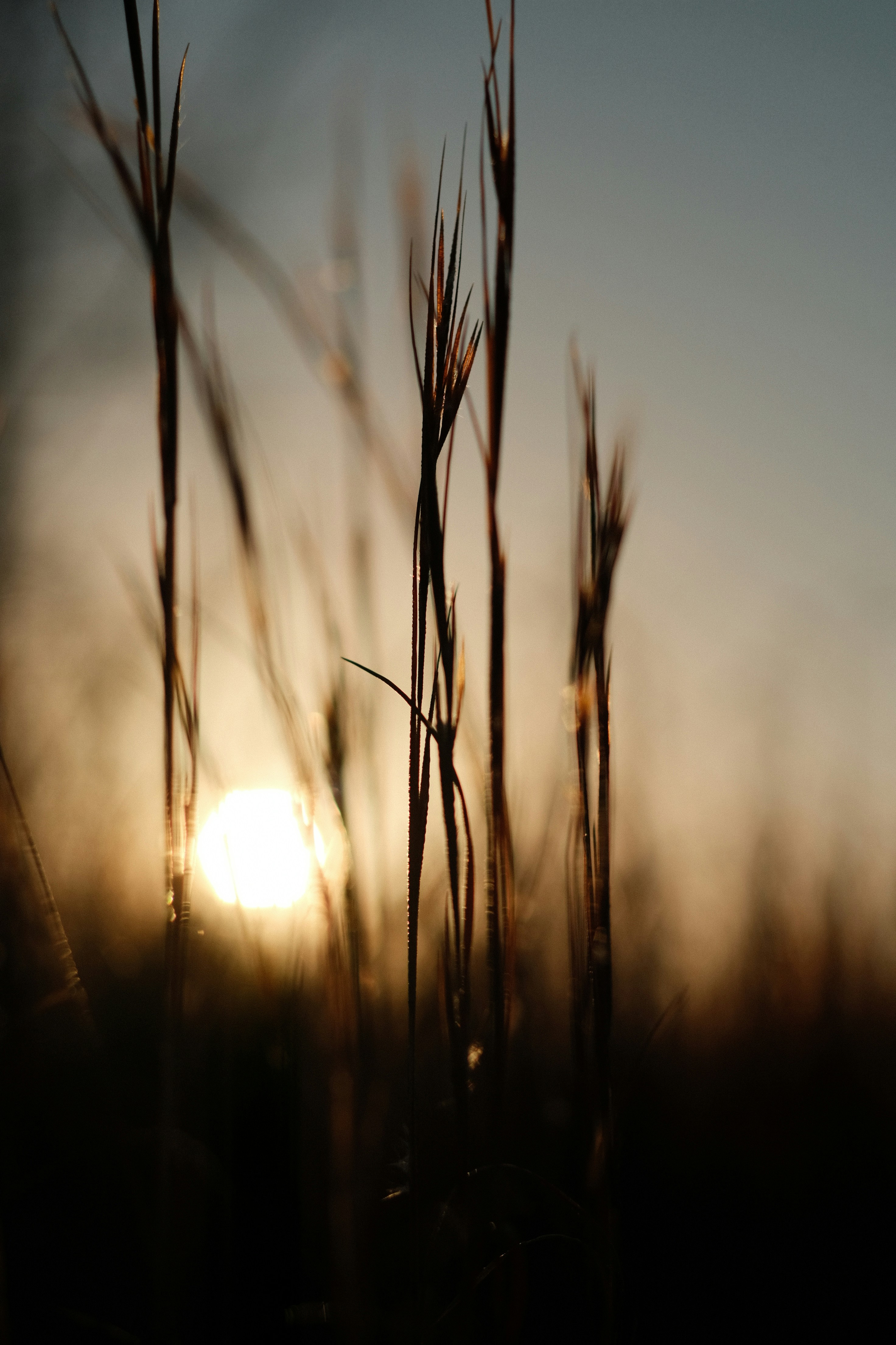 Photo by btcarpenter