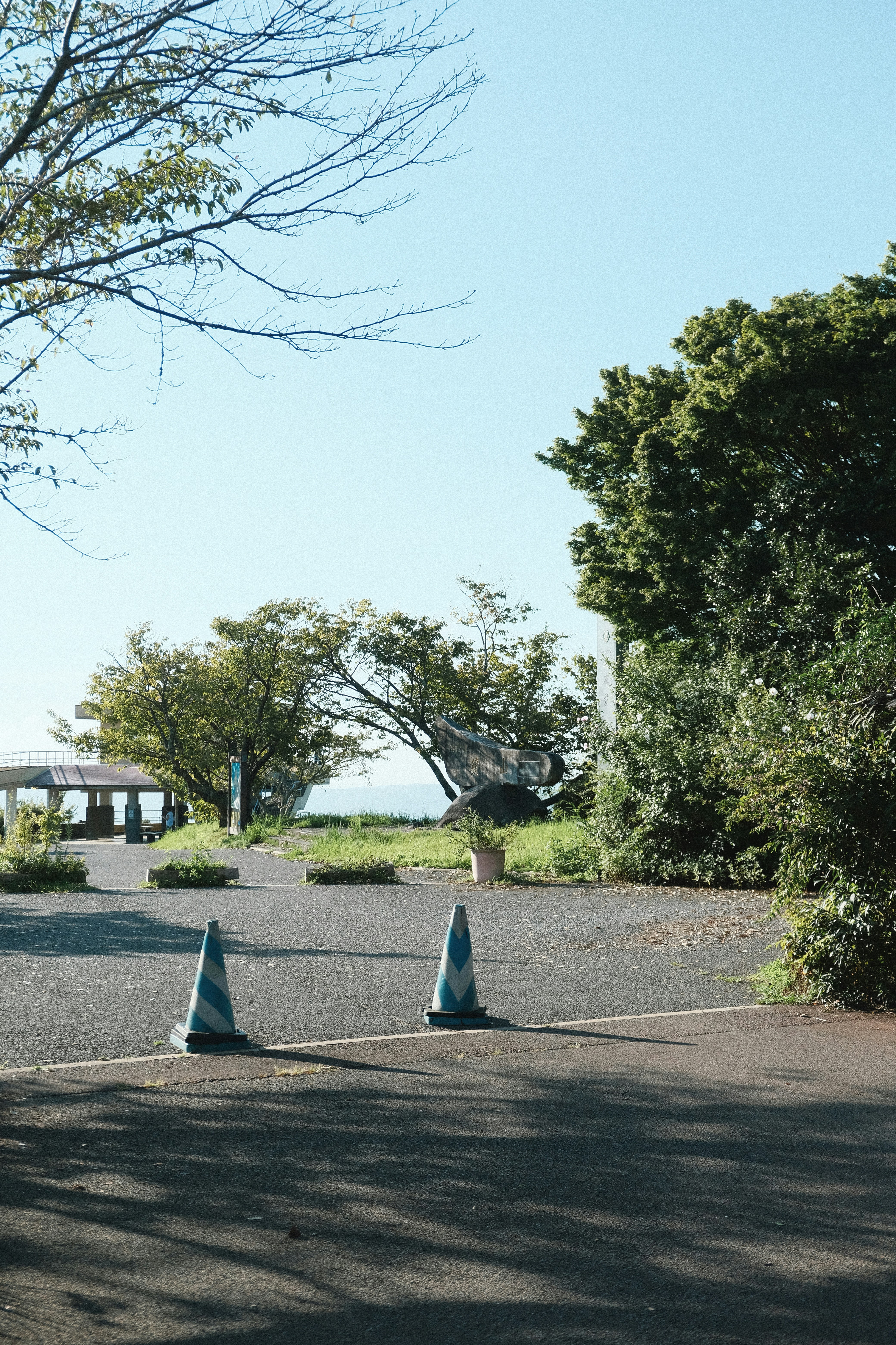 Un camino con conos a un lado