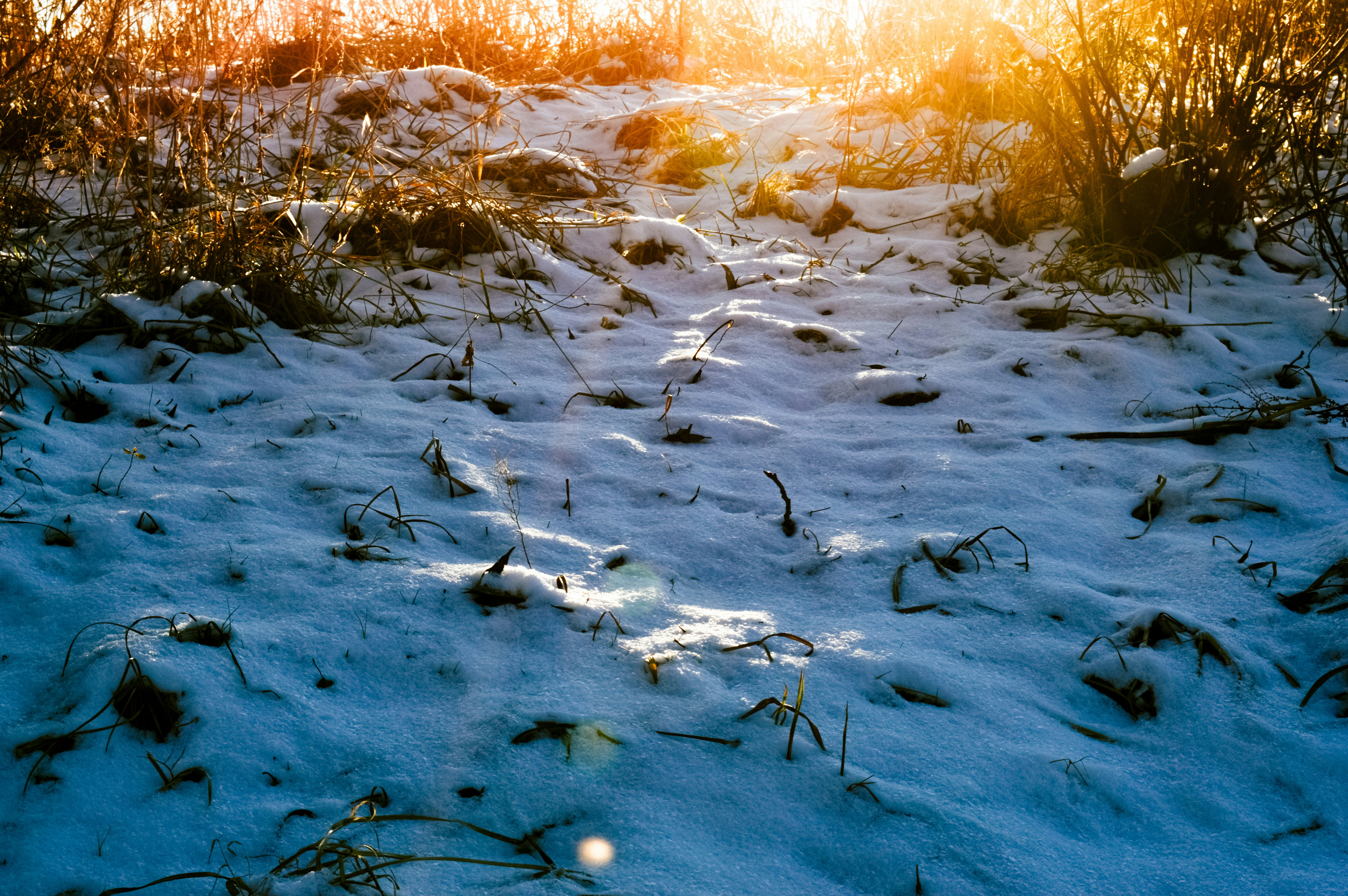 Photo by beauty_is_everywhere