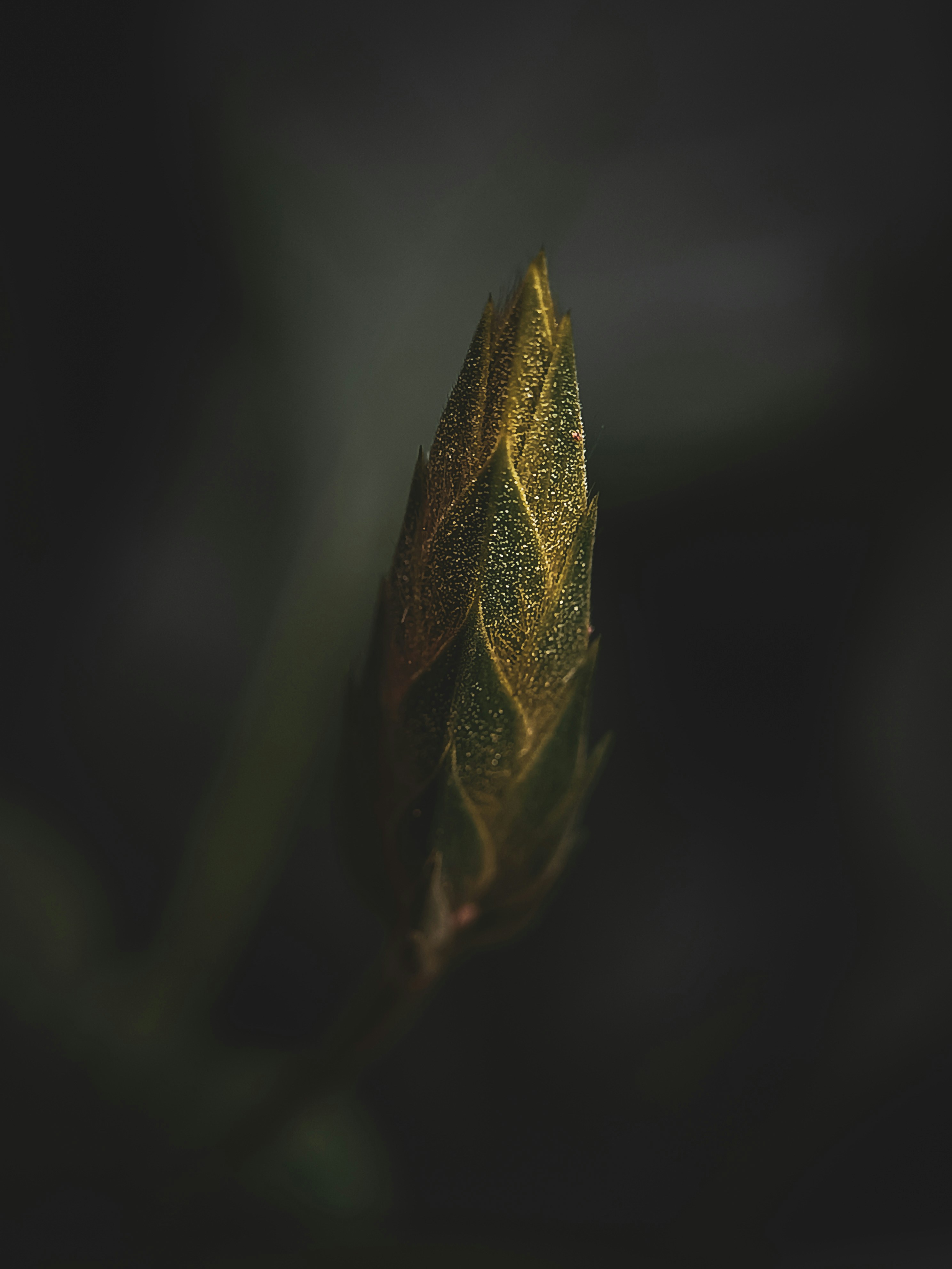 Photo by kristinemaemillano