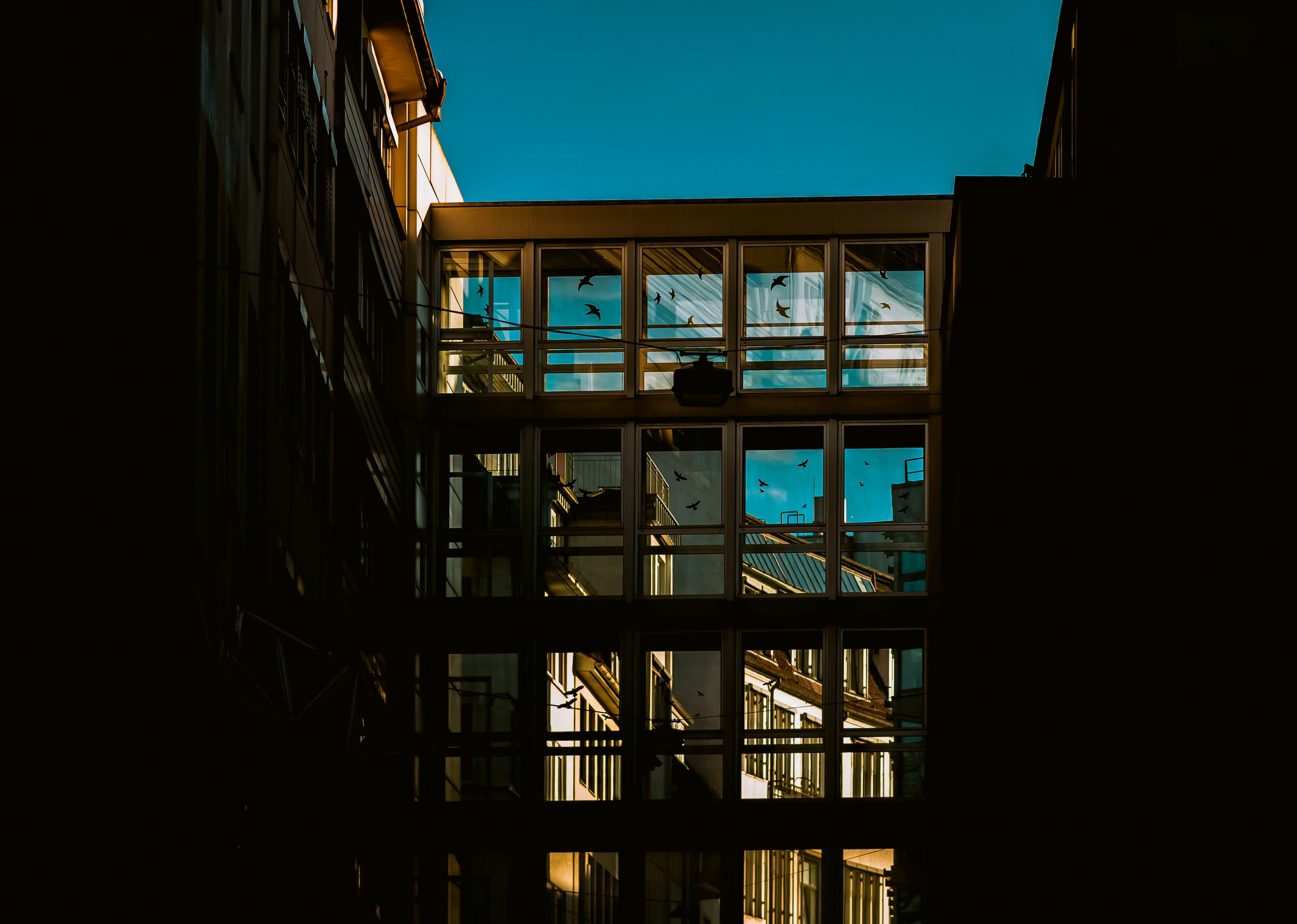 Photo by jahan_photobox