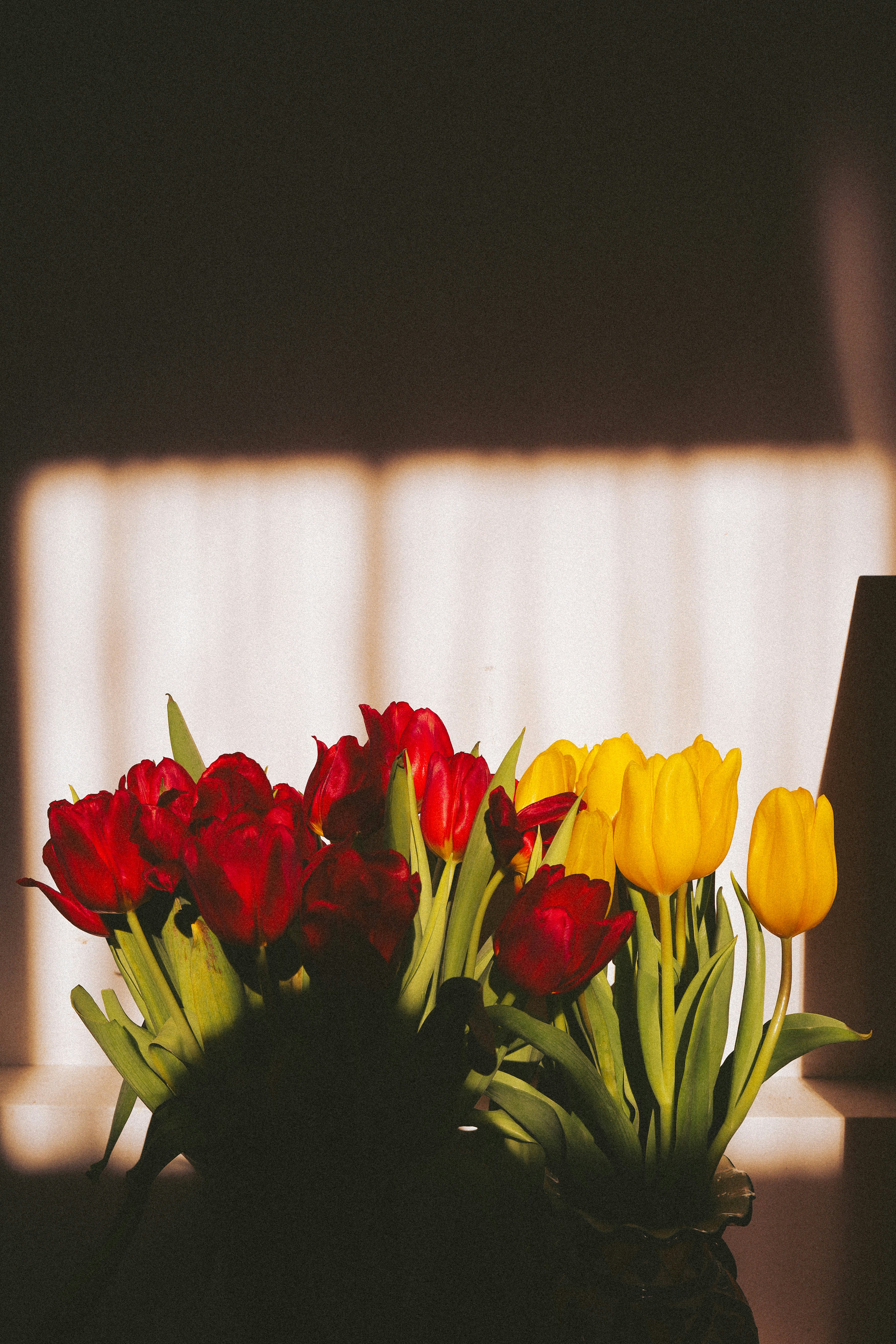 Photo by andaaa_lupulet