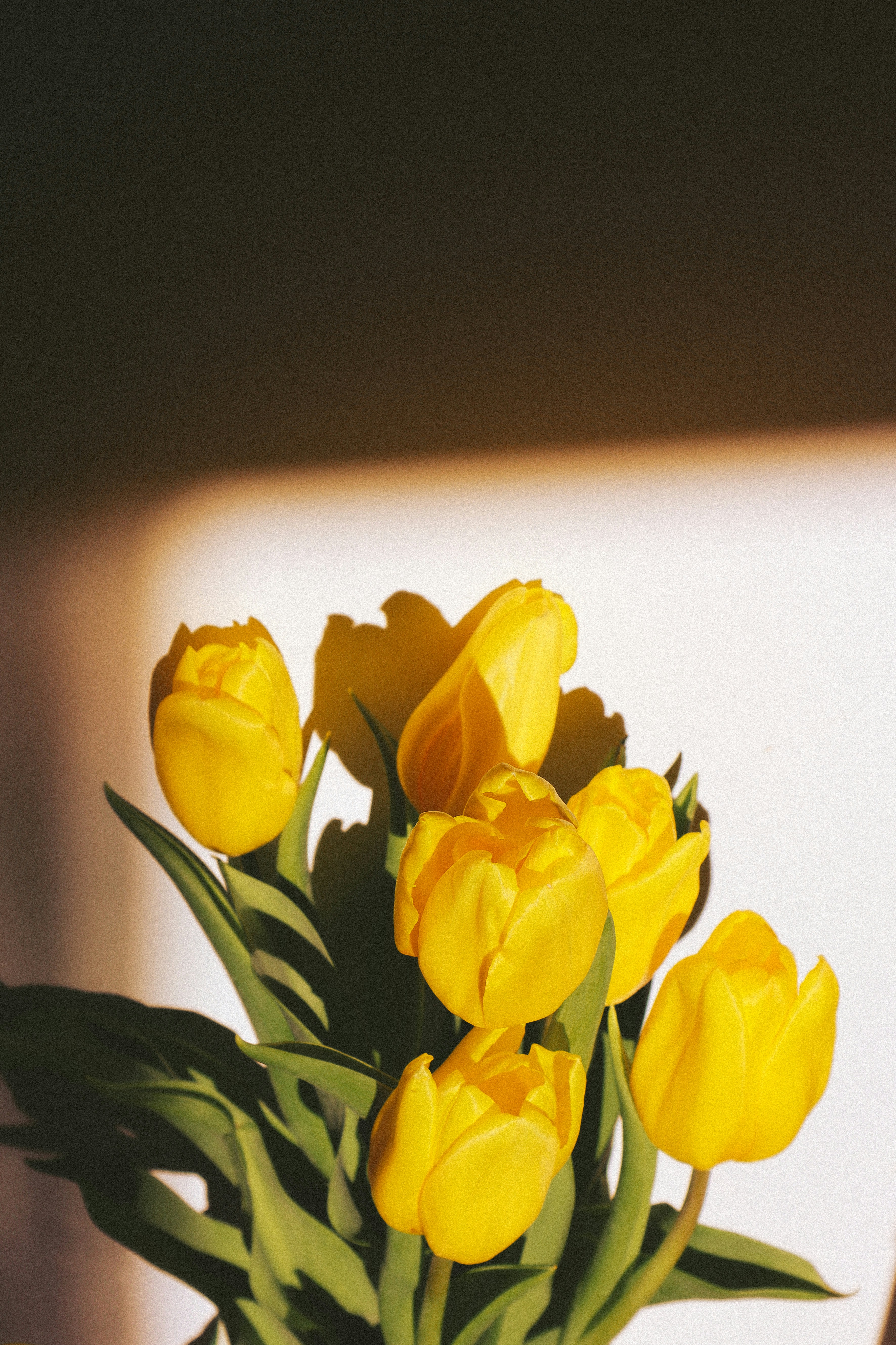 Photo by andaaa_lupulet