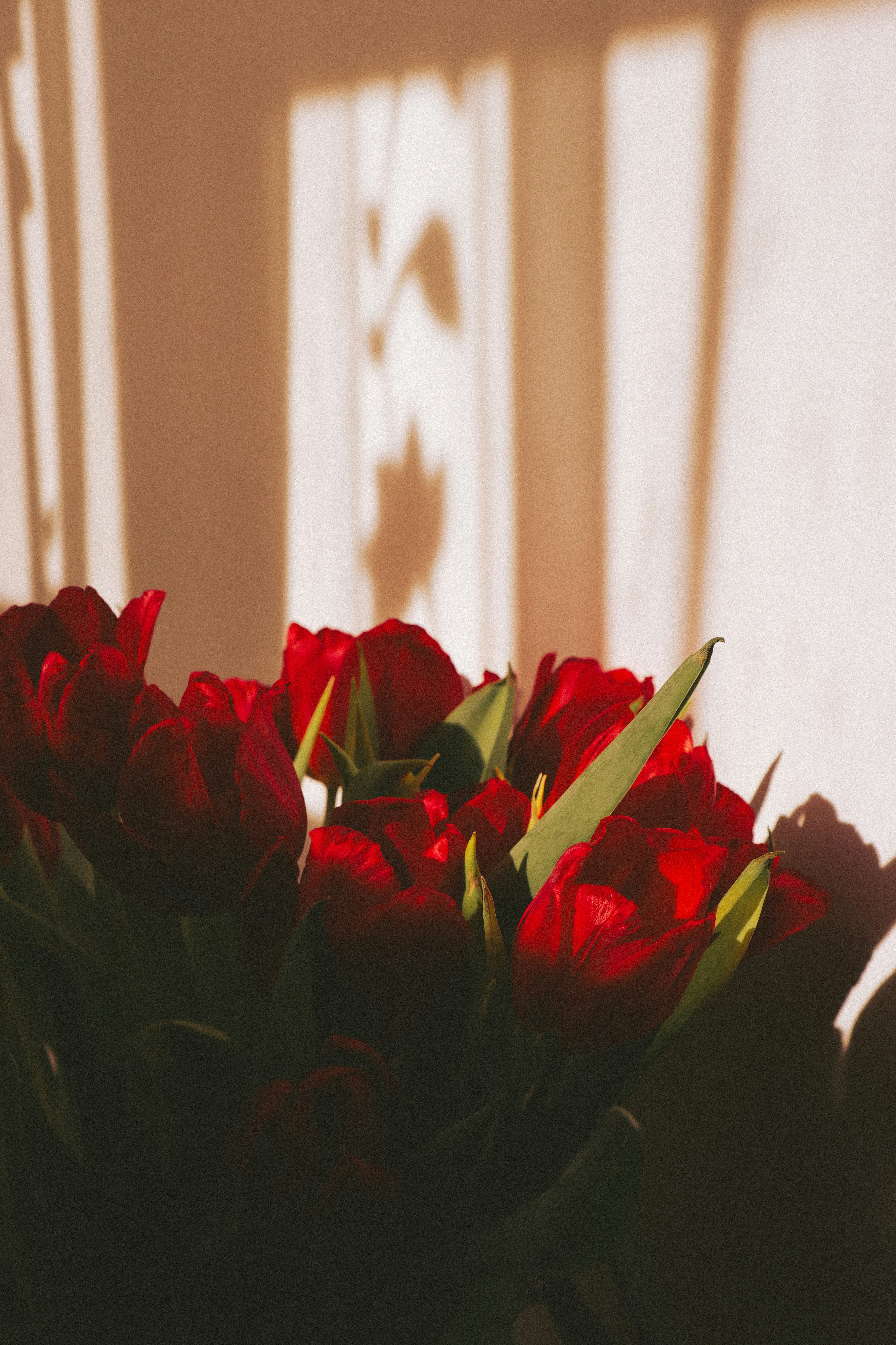 Photo by andaaa_lupulet