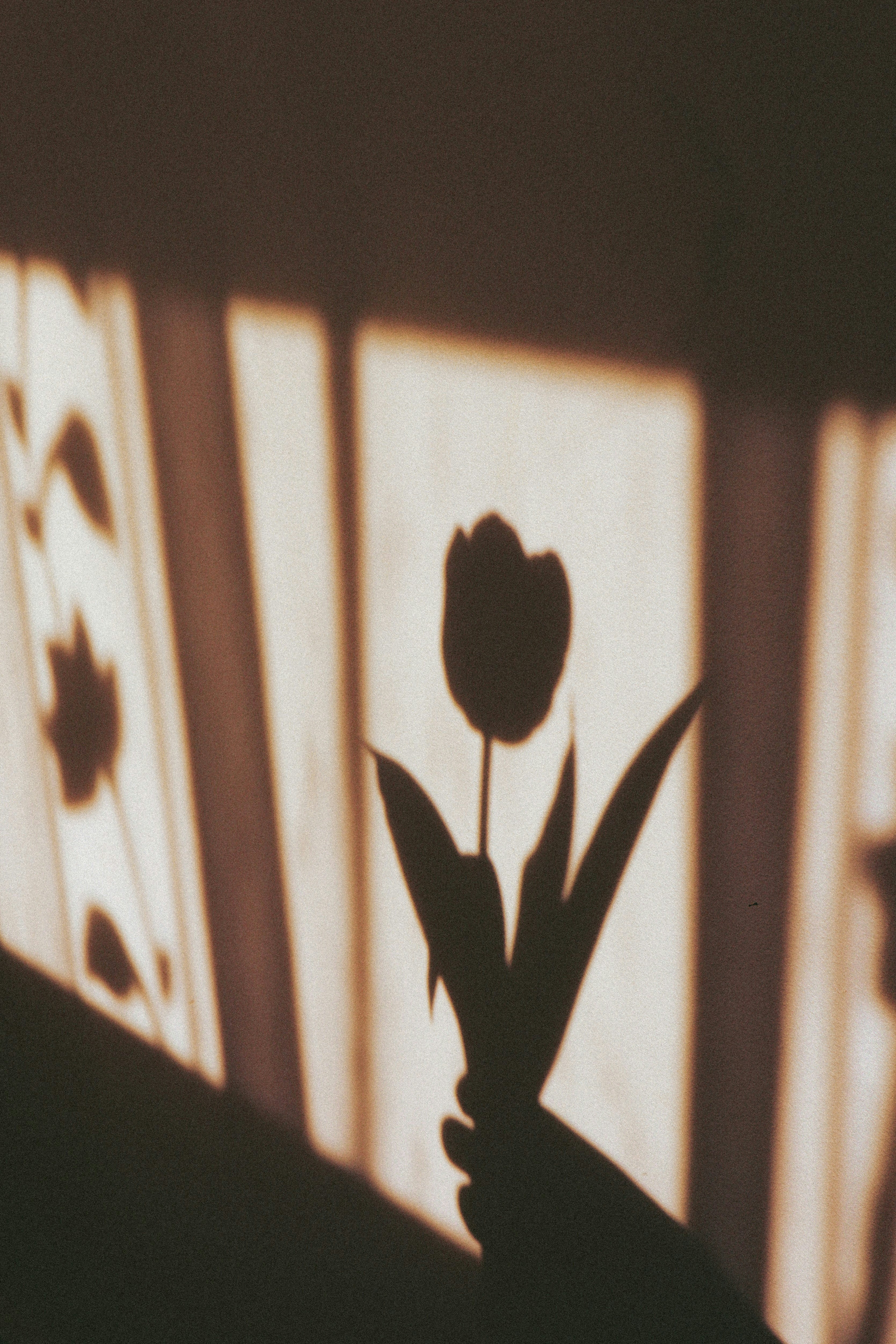 Photo by andaaa_lupulet