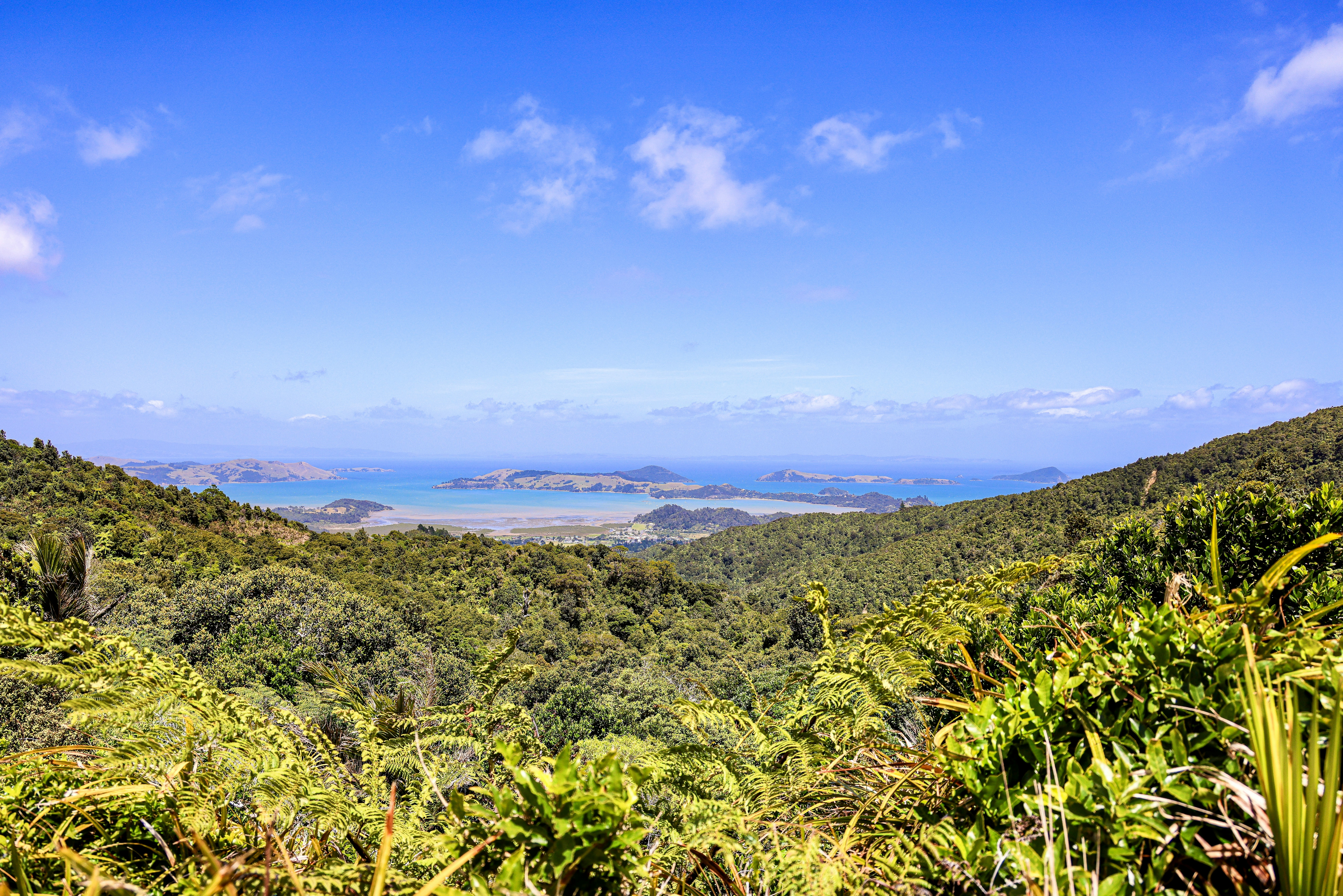 Photo by maximilian_brand