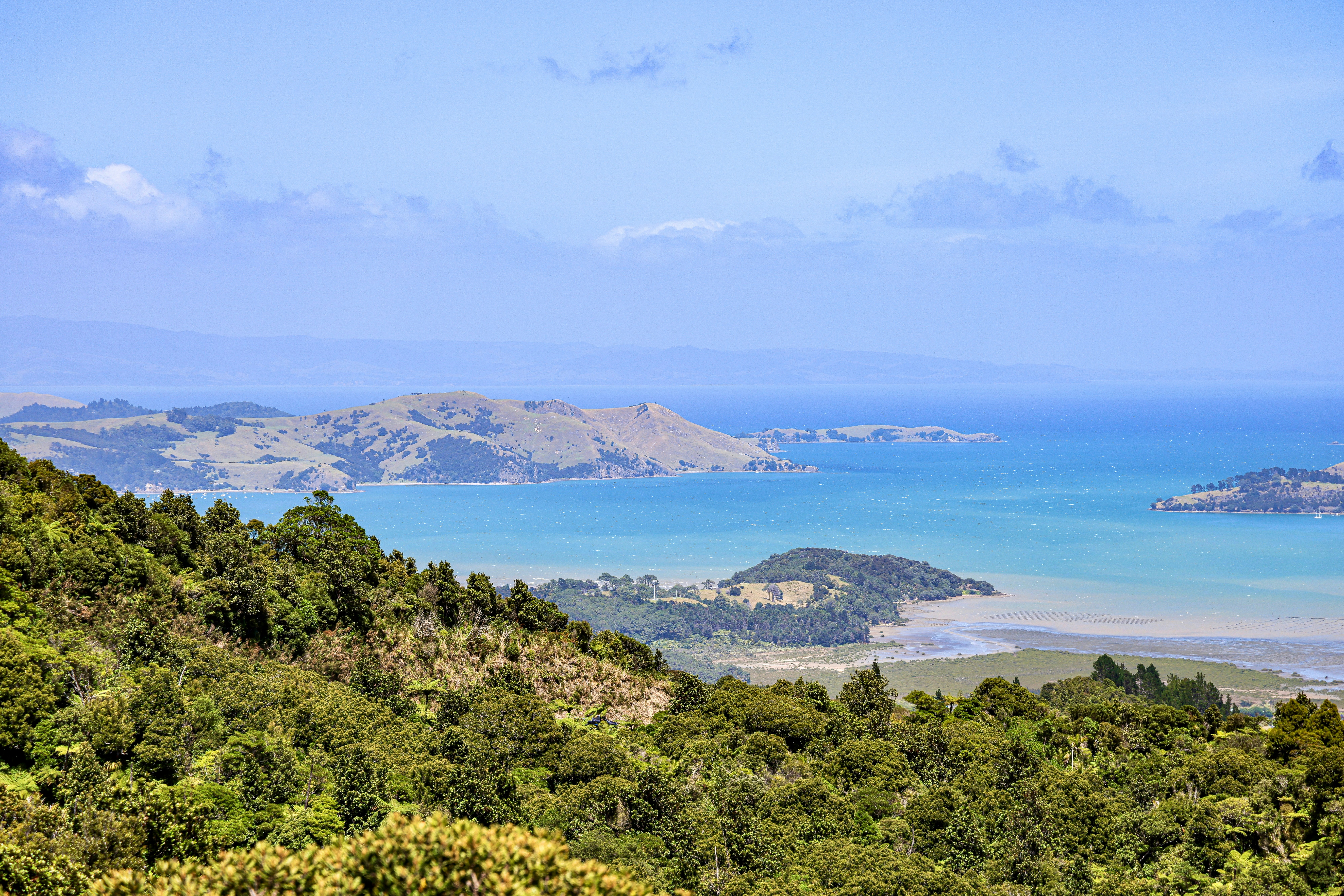 Photo by maximilian_brand