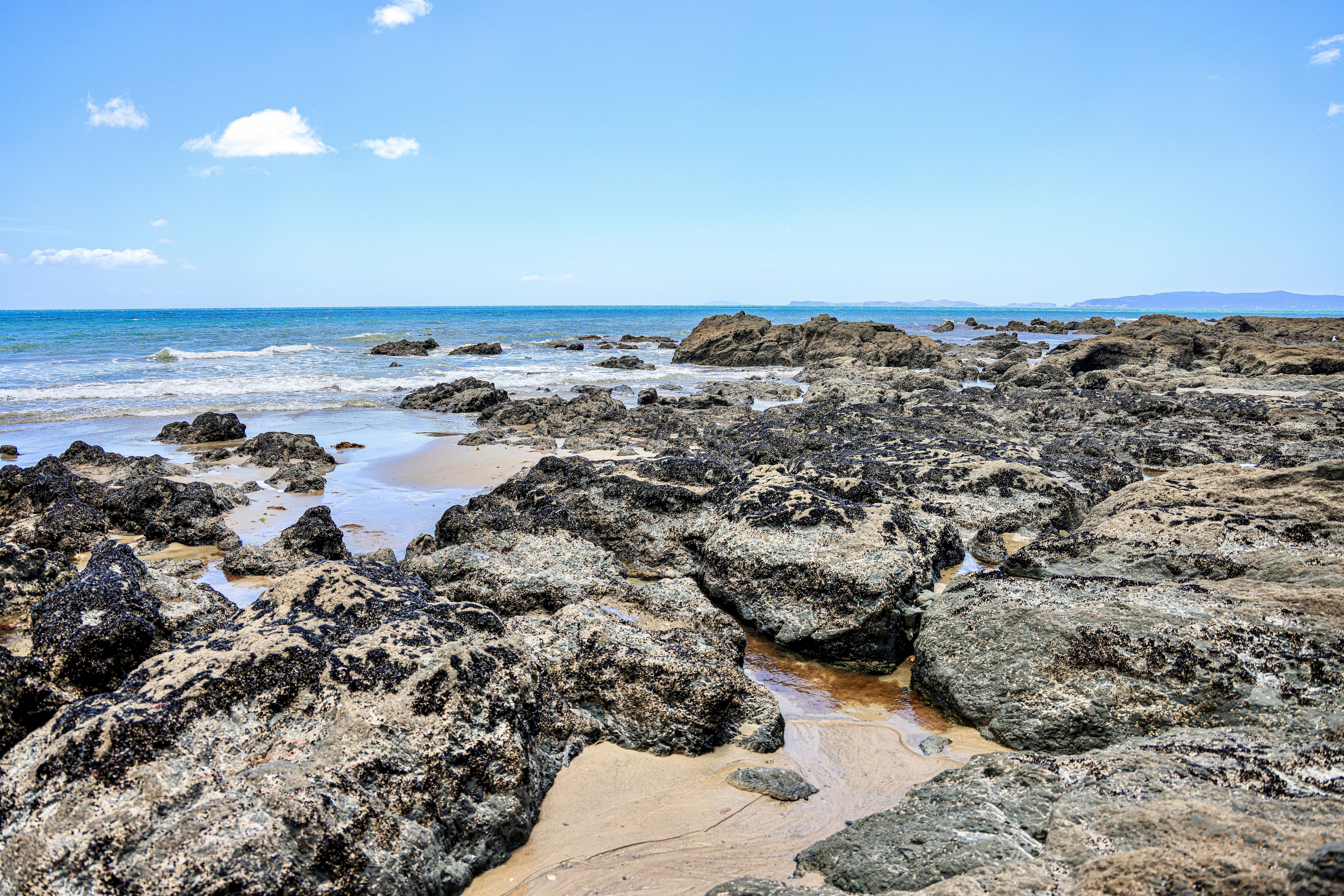 Photo by maximilian_brand