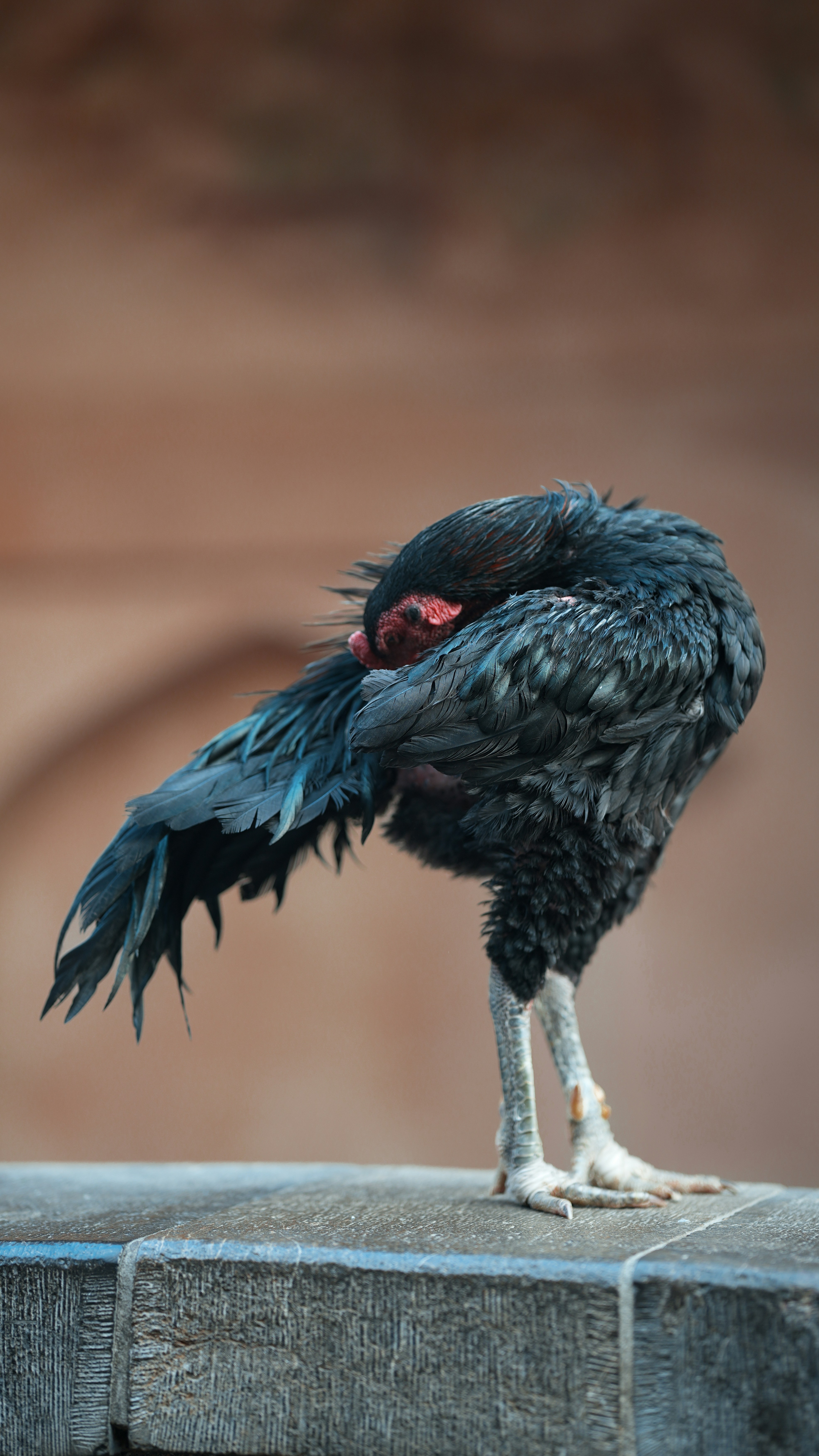 Photo by aisar_ahmed