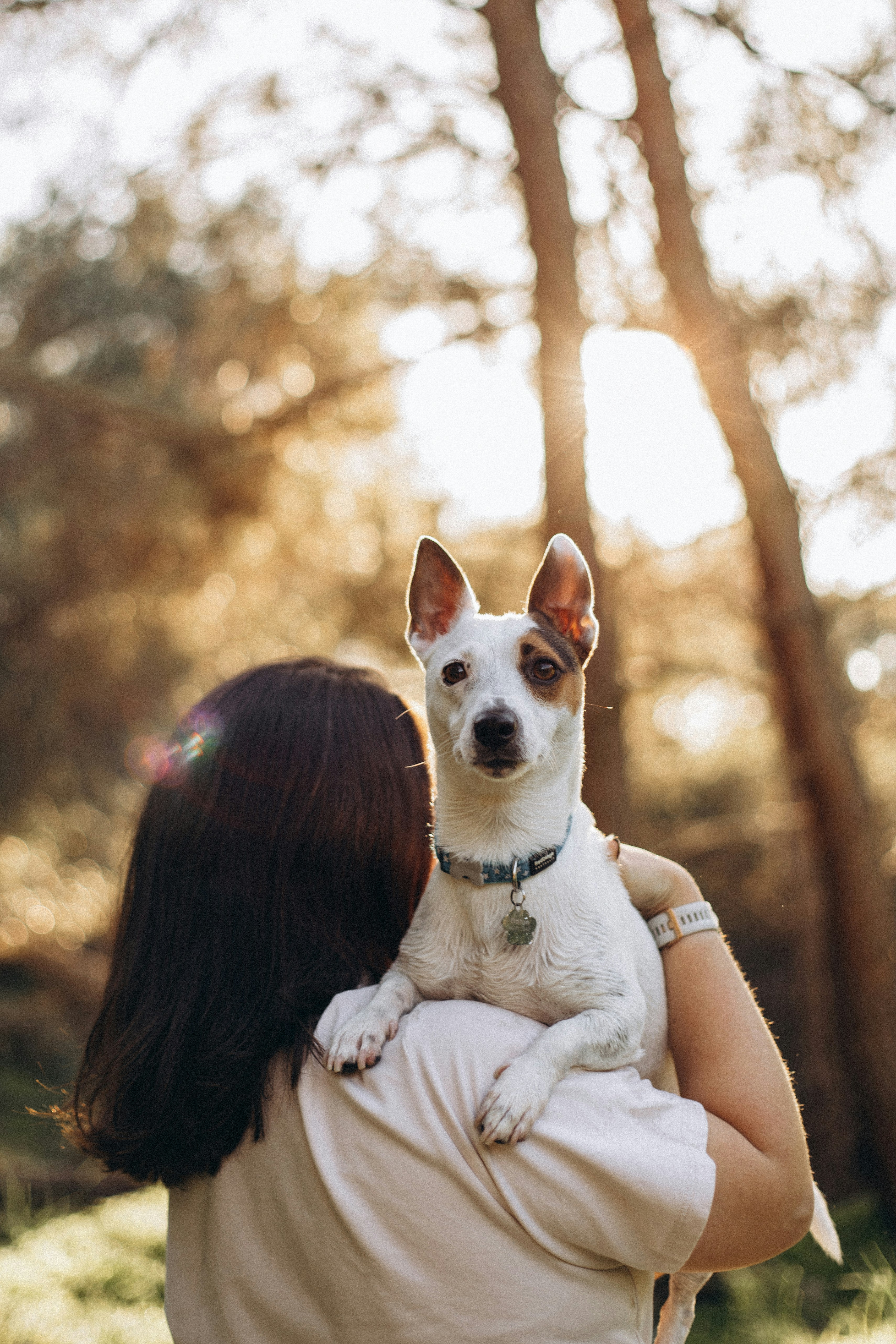 A woman holding a small dog in her arms