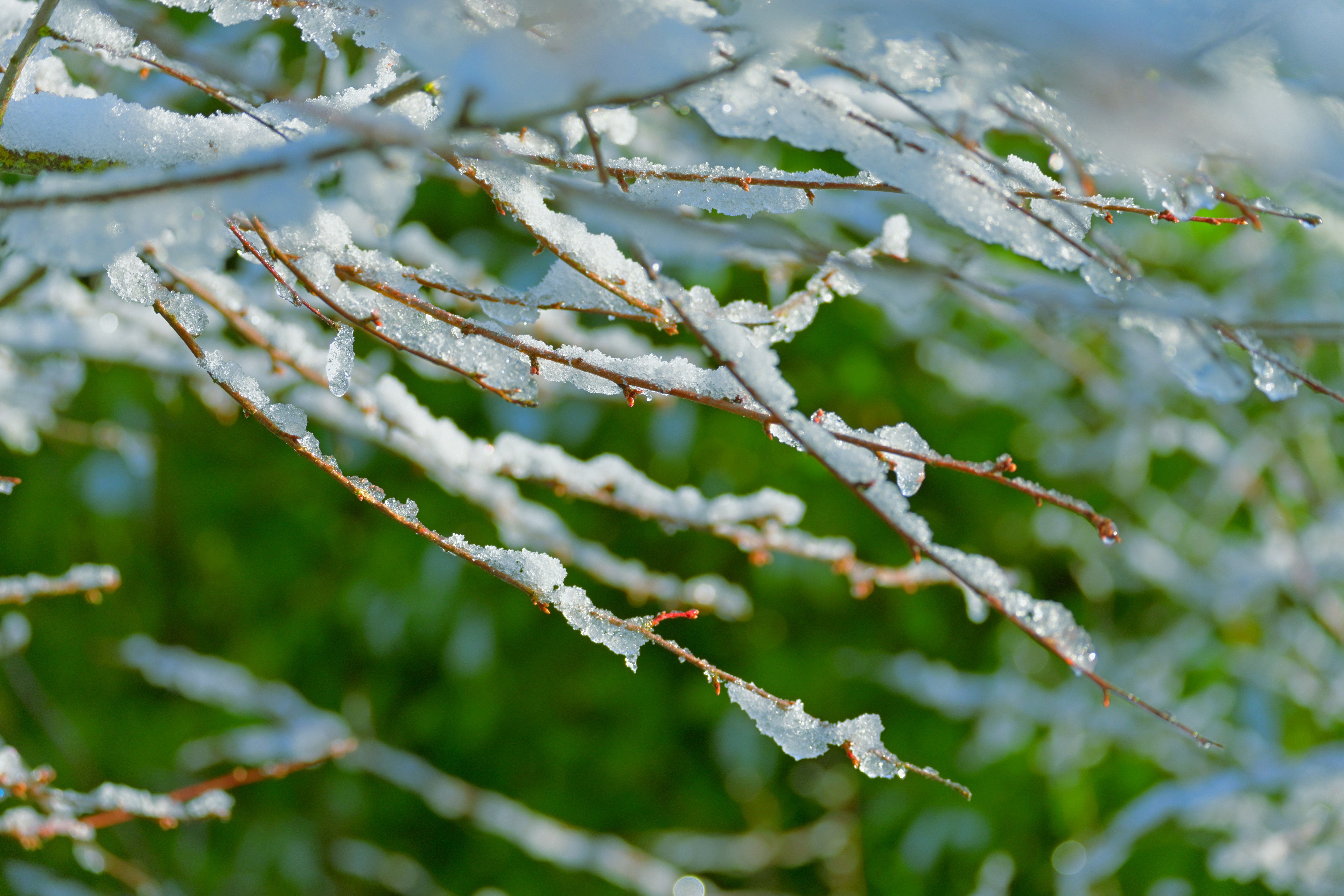 Photo by fleeting_glow