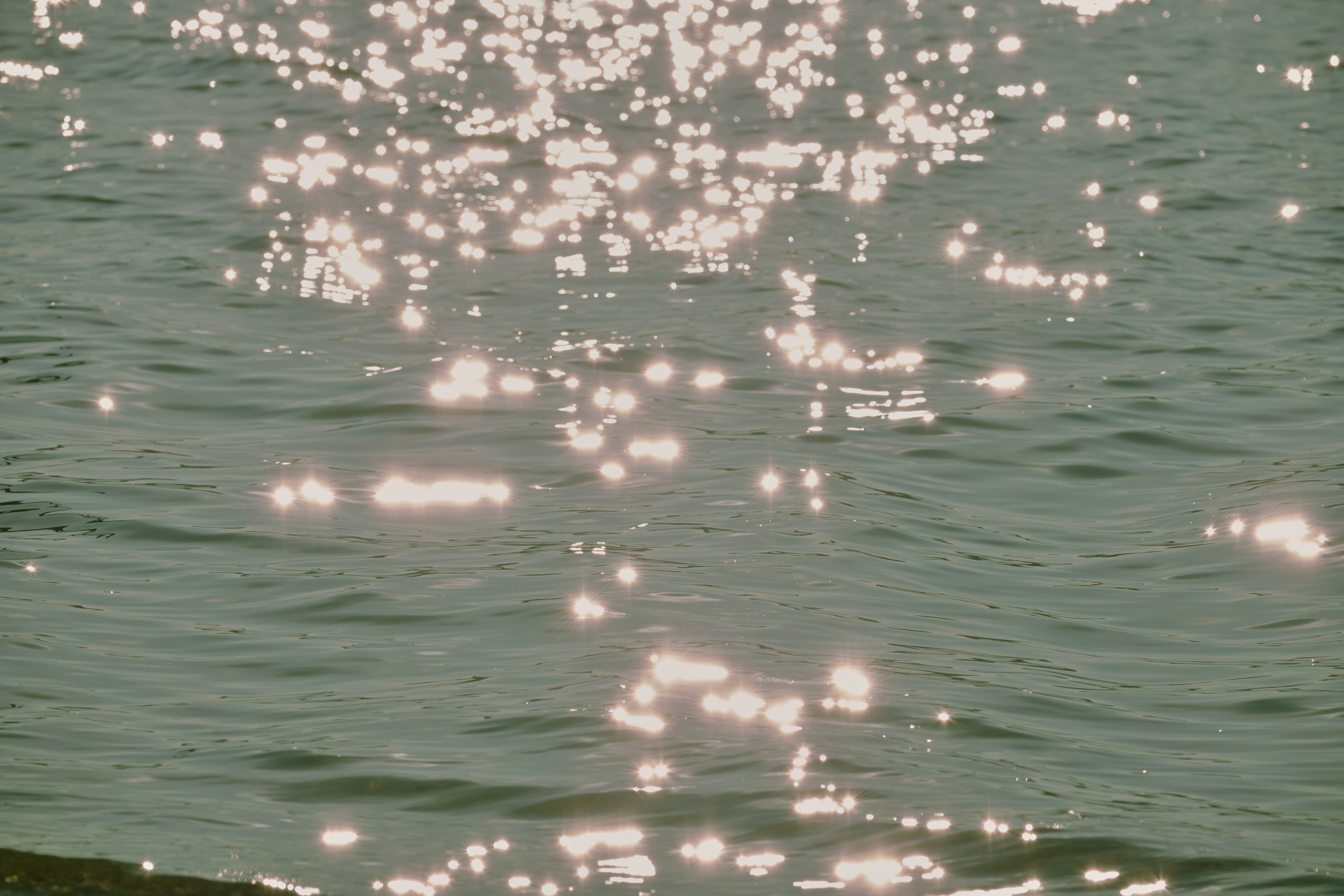 Photo by fleeting_glow