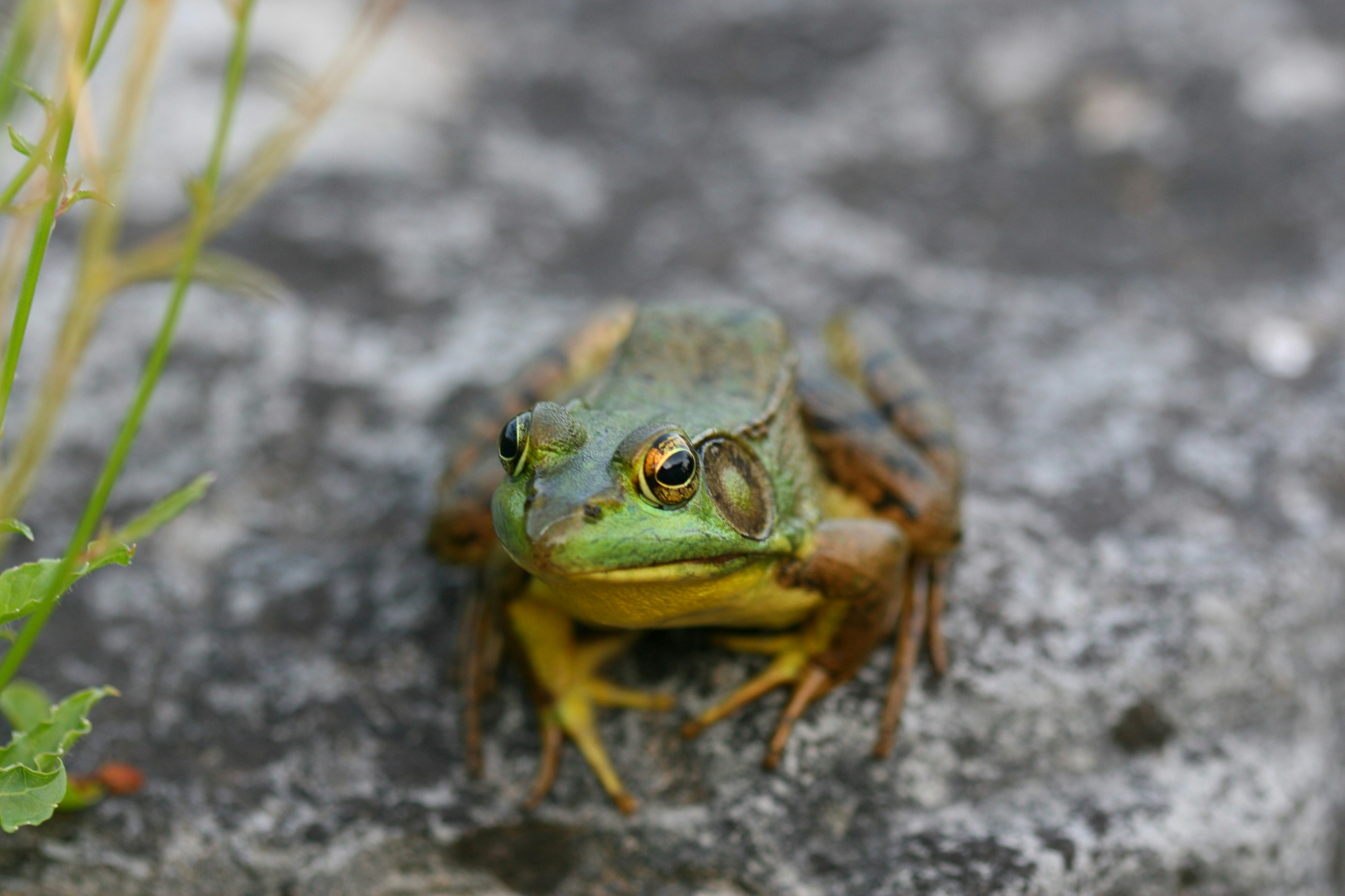 Photo by ernest_boyd