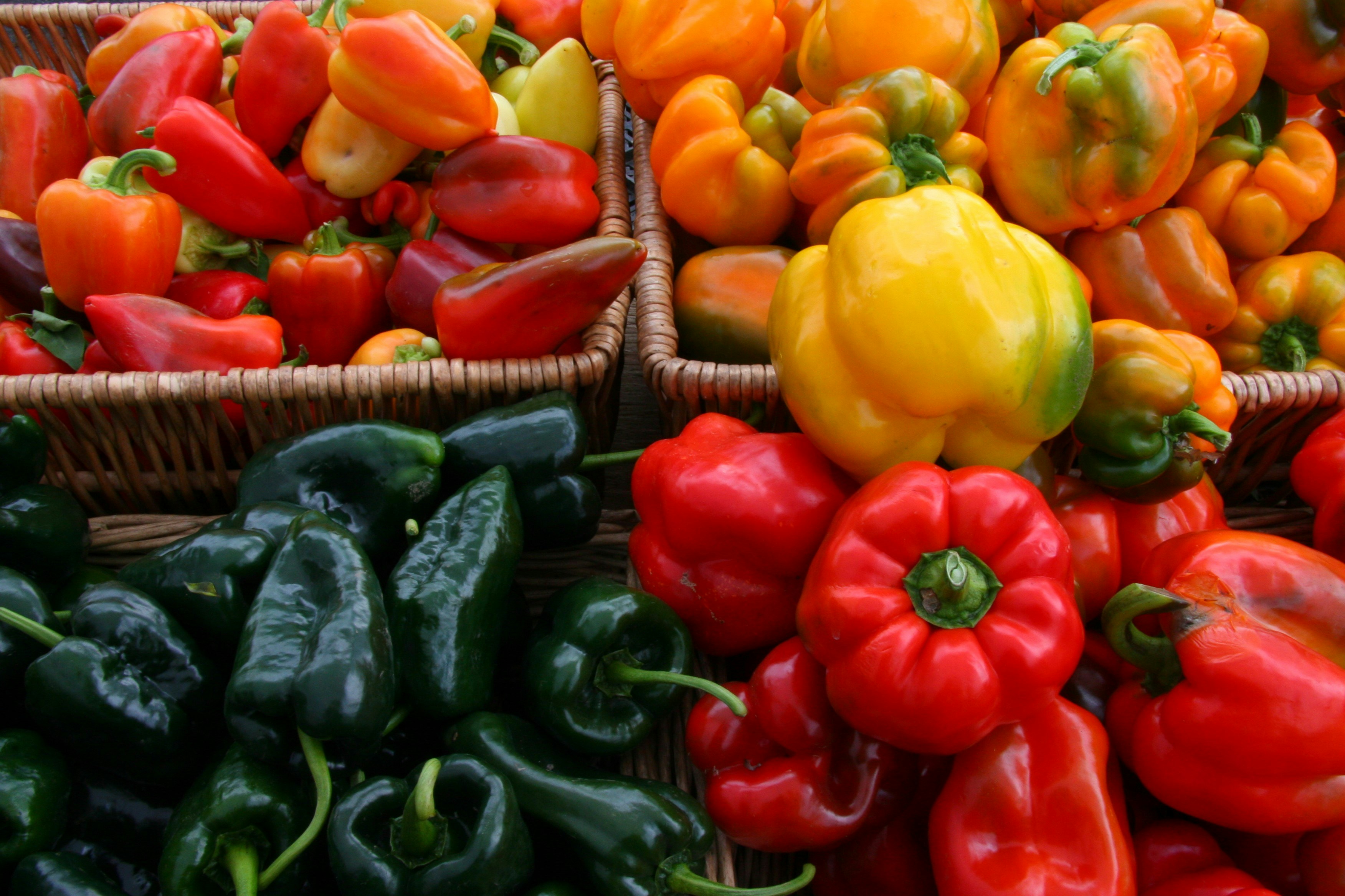 Photo by ernest_boyd