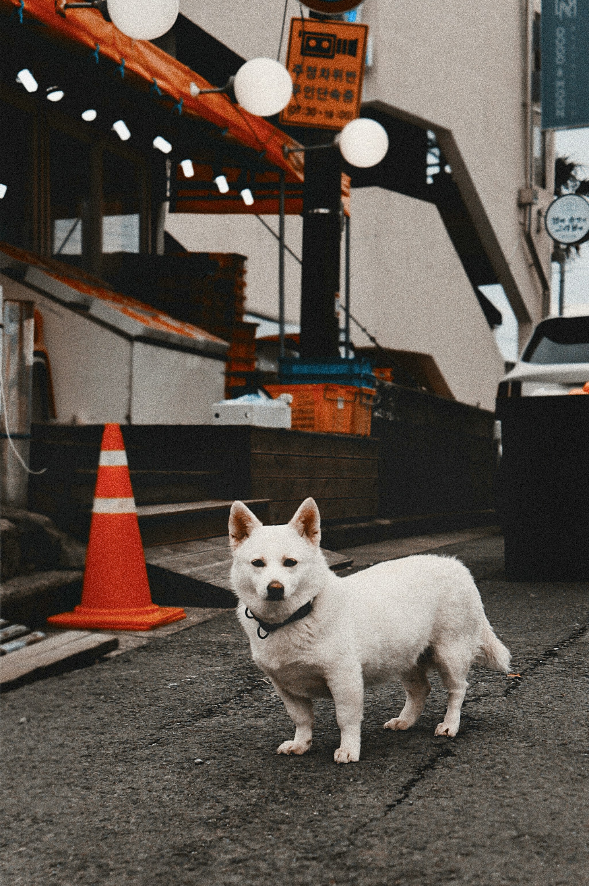 Natural Wonders Within the City Limits