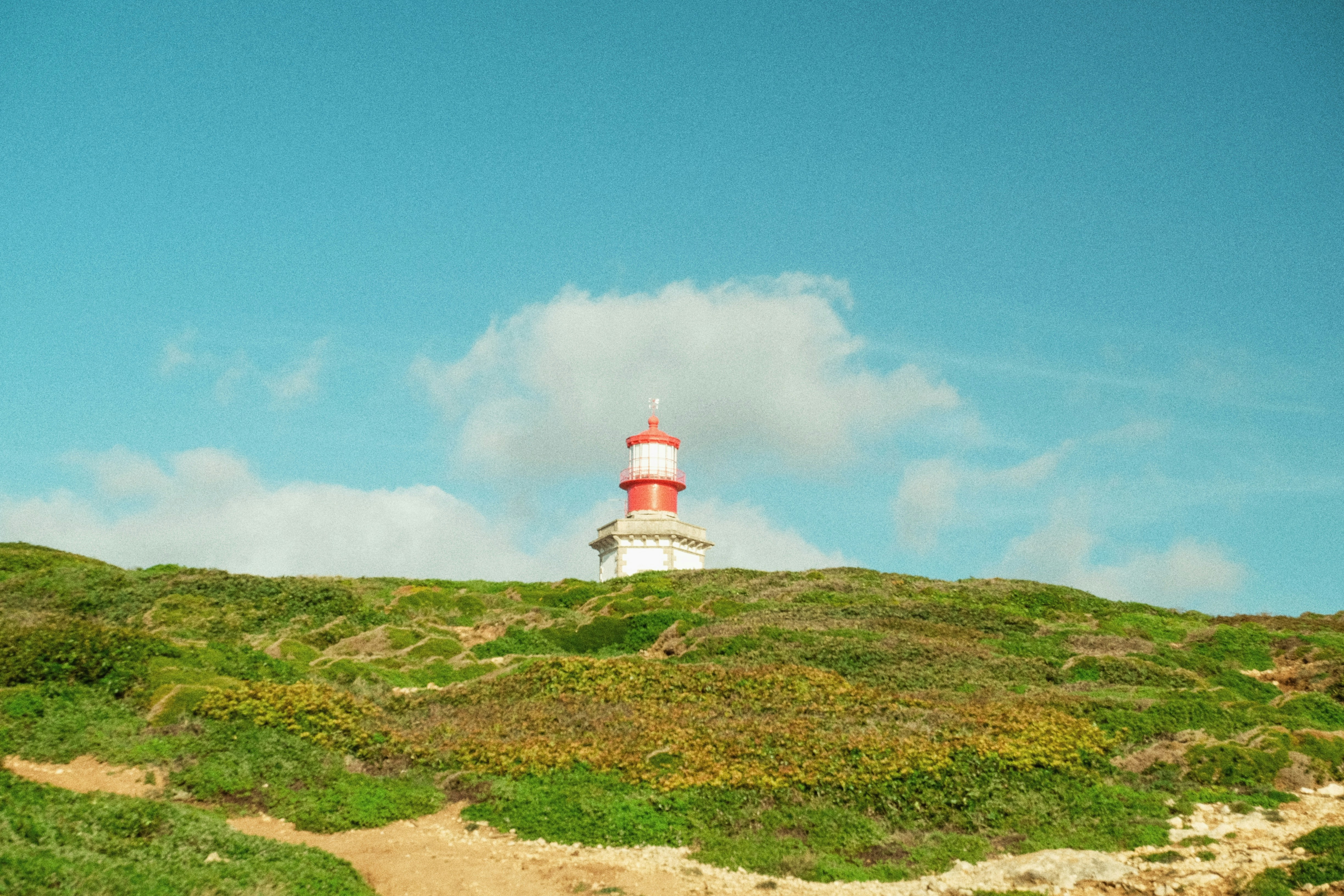 Photo by noelephantsflying