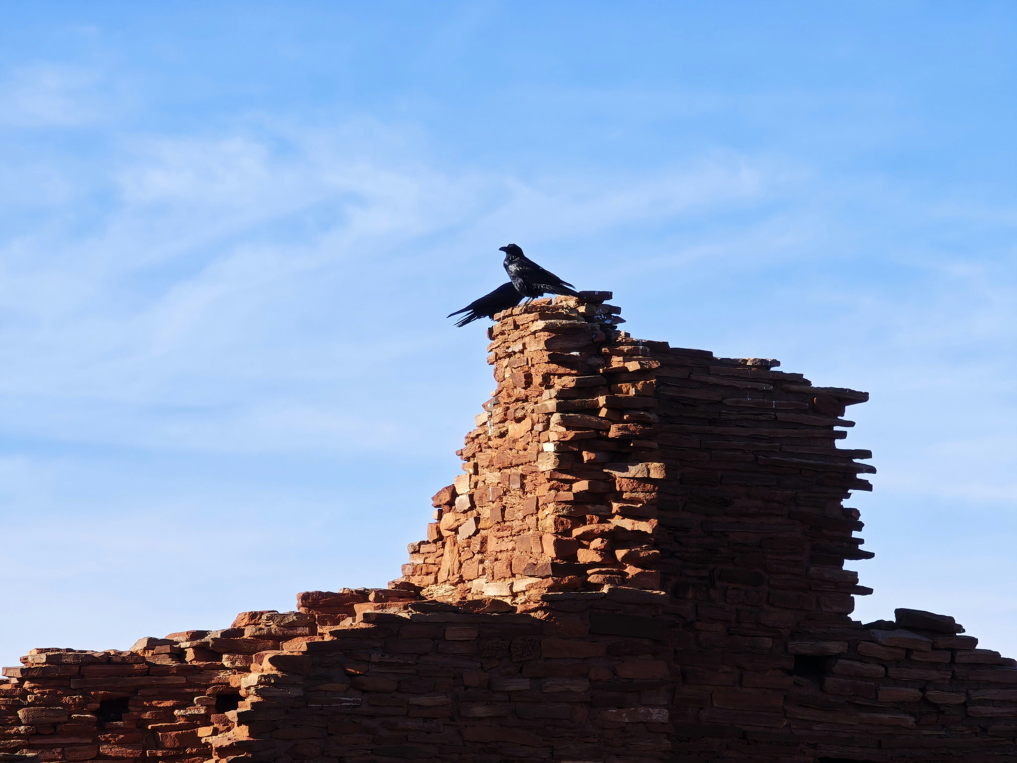 A bird sitting on top of a brick building