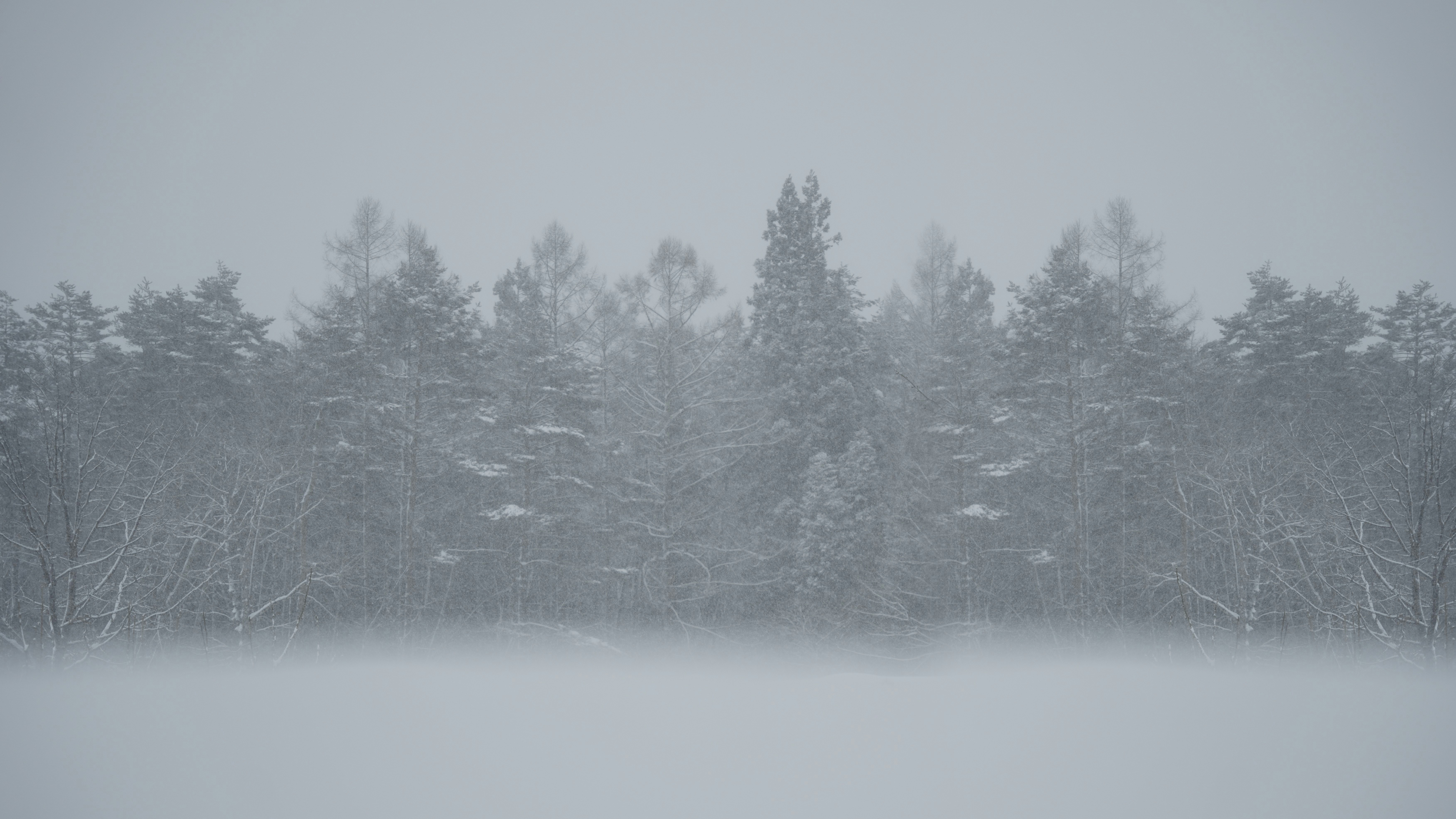 winter wonderland wallpaper, wallpaper, Winter Crafts for Adults with Disabilities 1