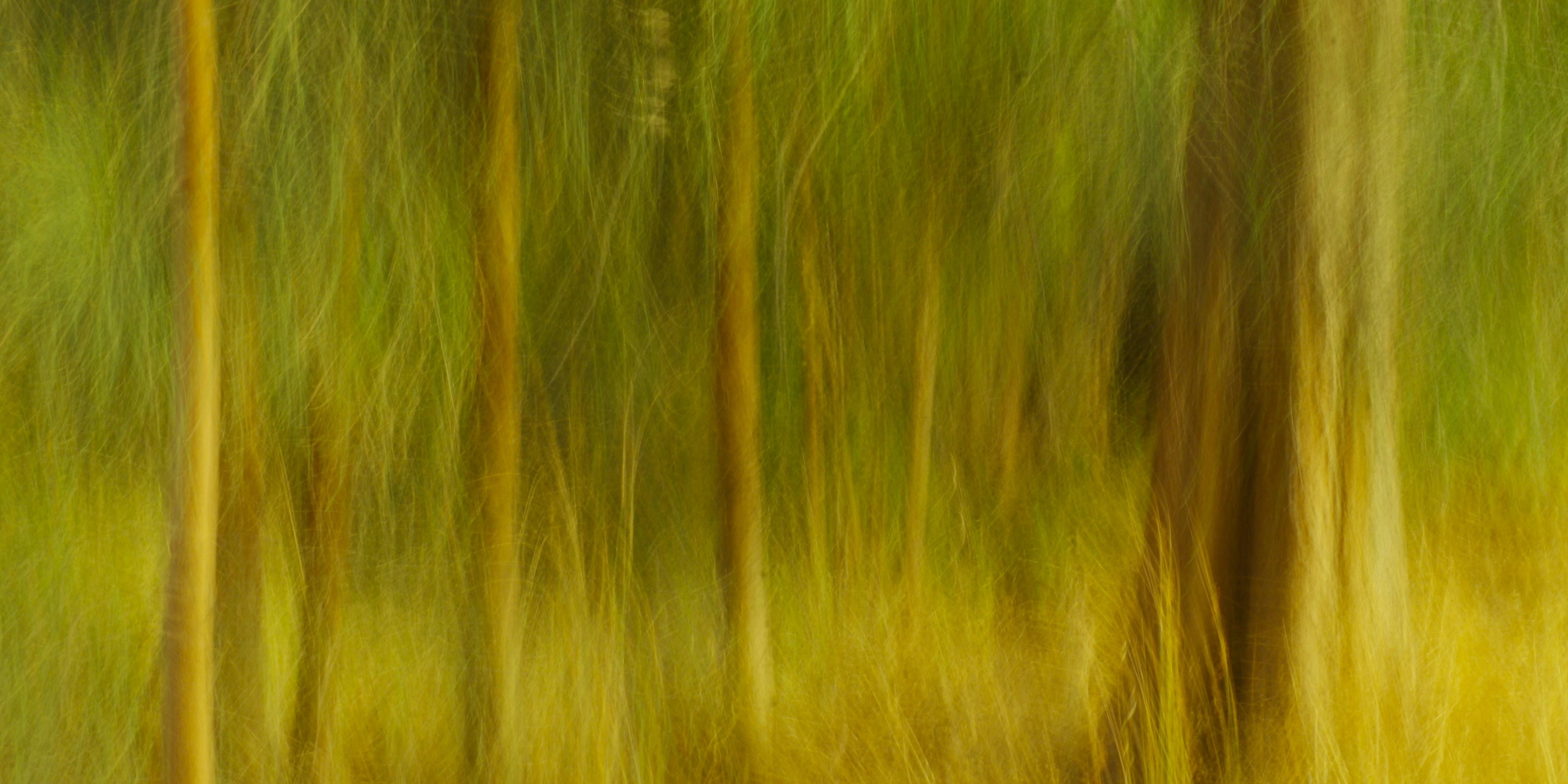 Photo by photoken123