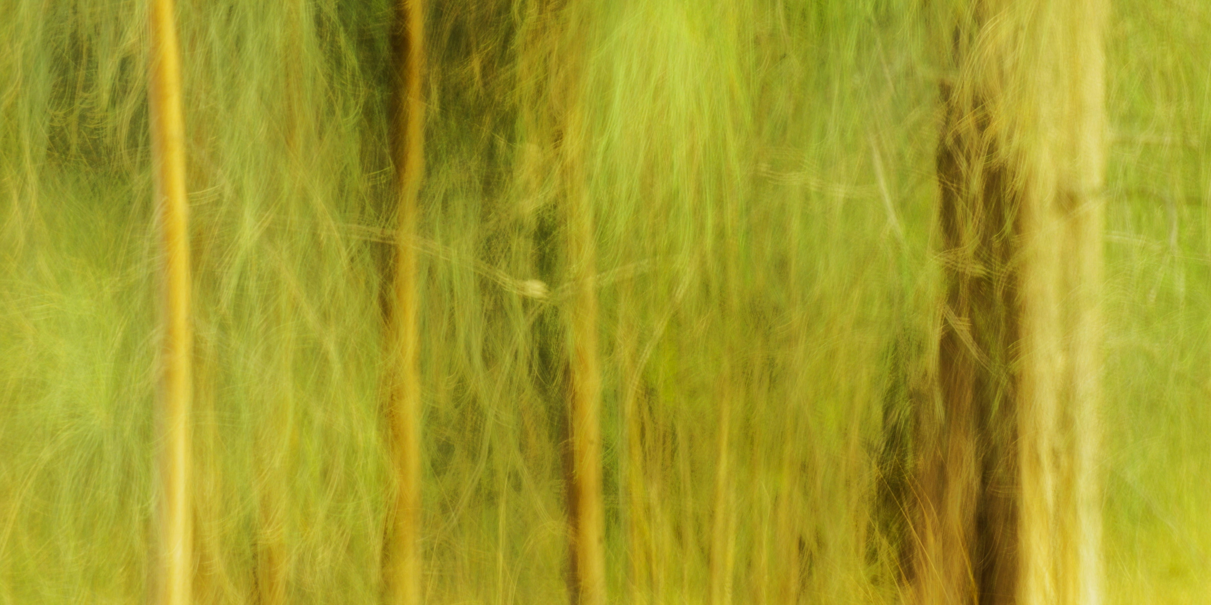 Photo by photoken123