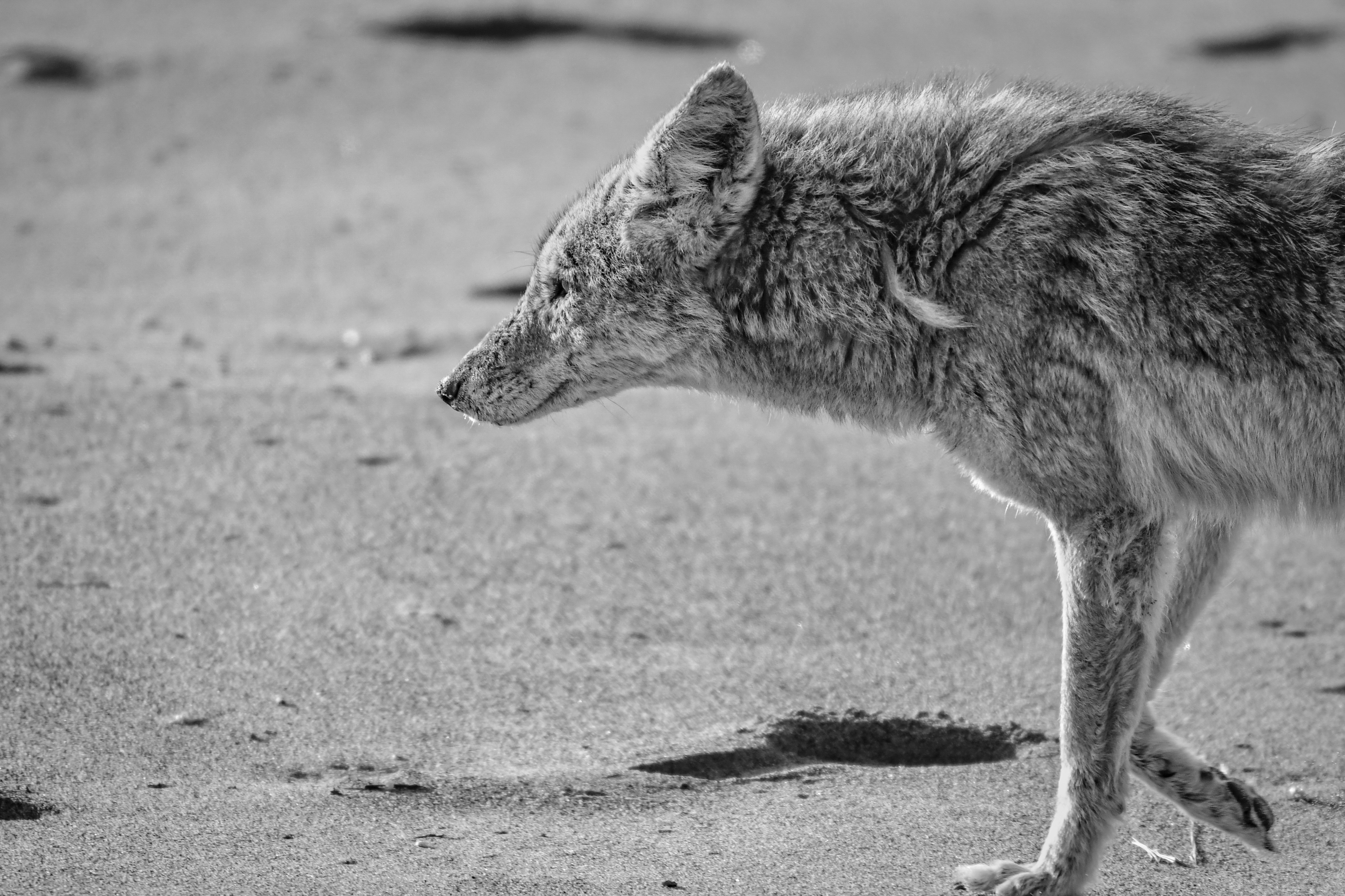 Photo by elisastonephotography