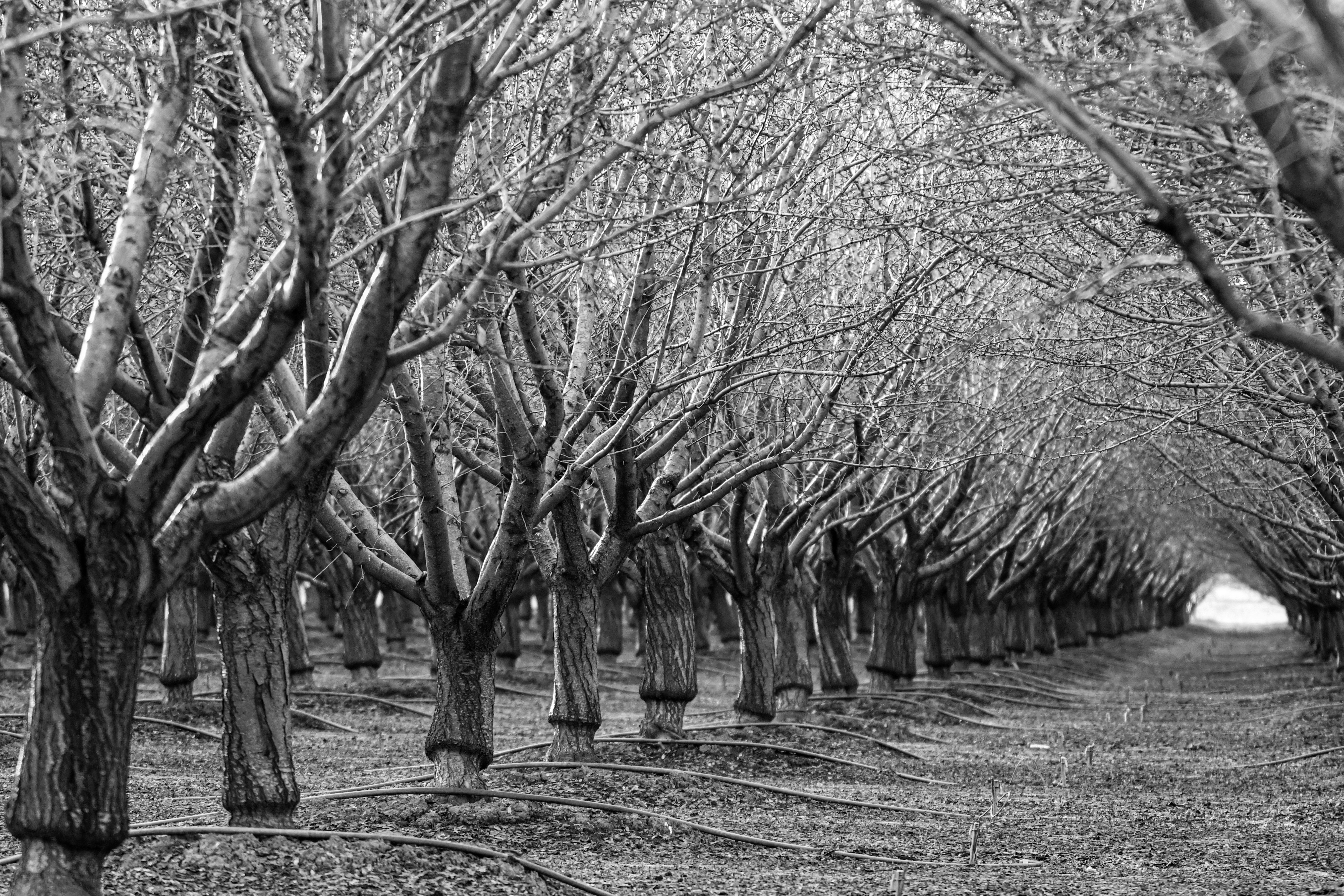 Photo by elisastonephotography