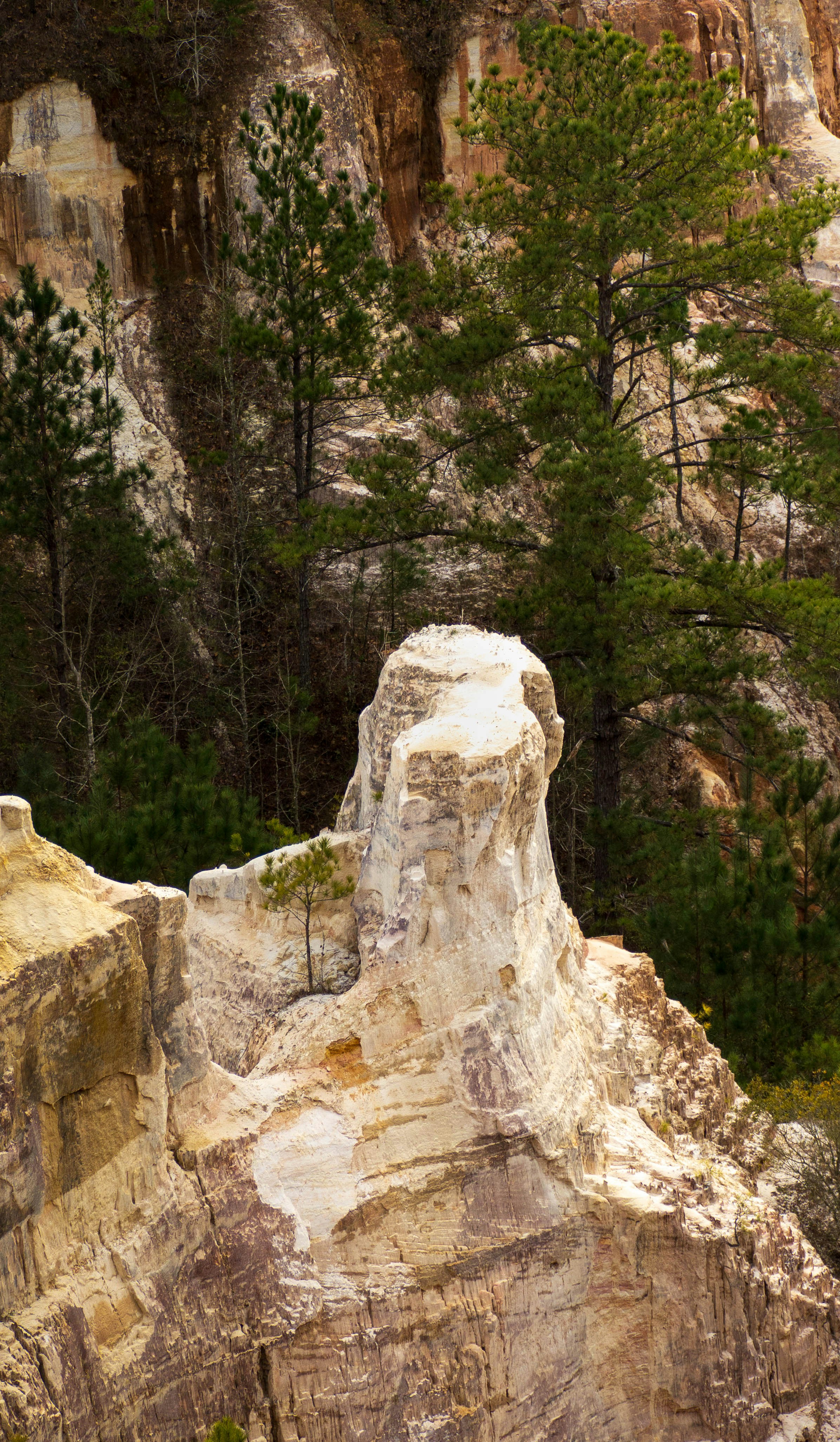 Photo by ajdphotography