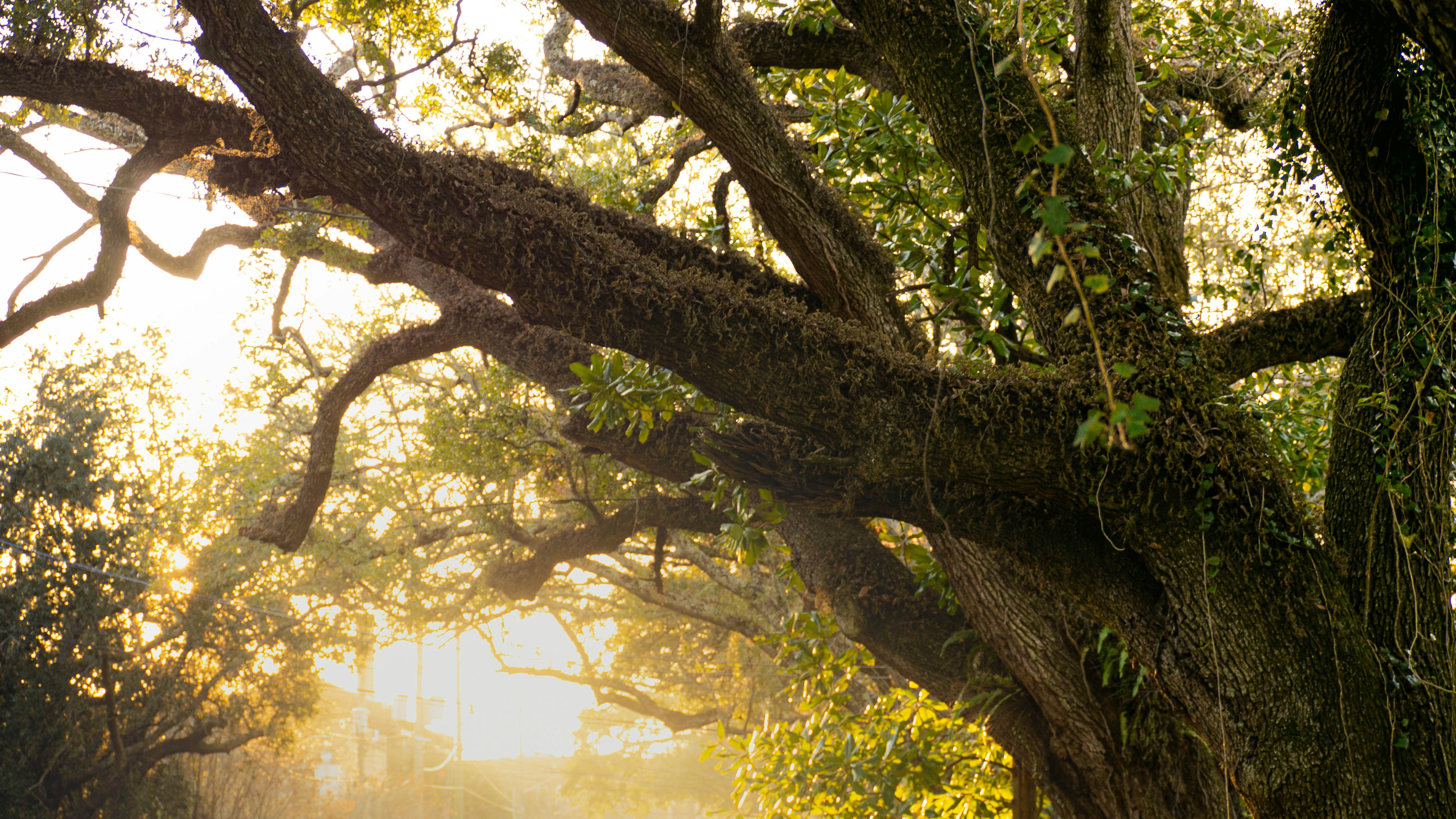 Photo by ajdphotography