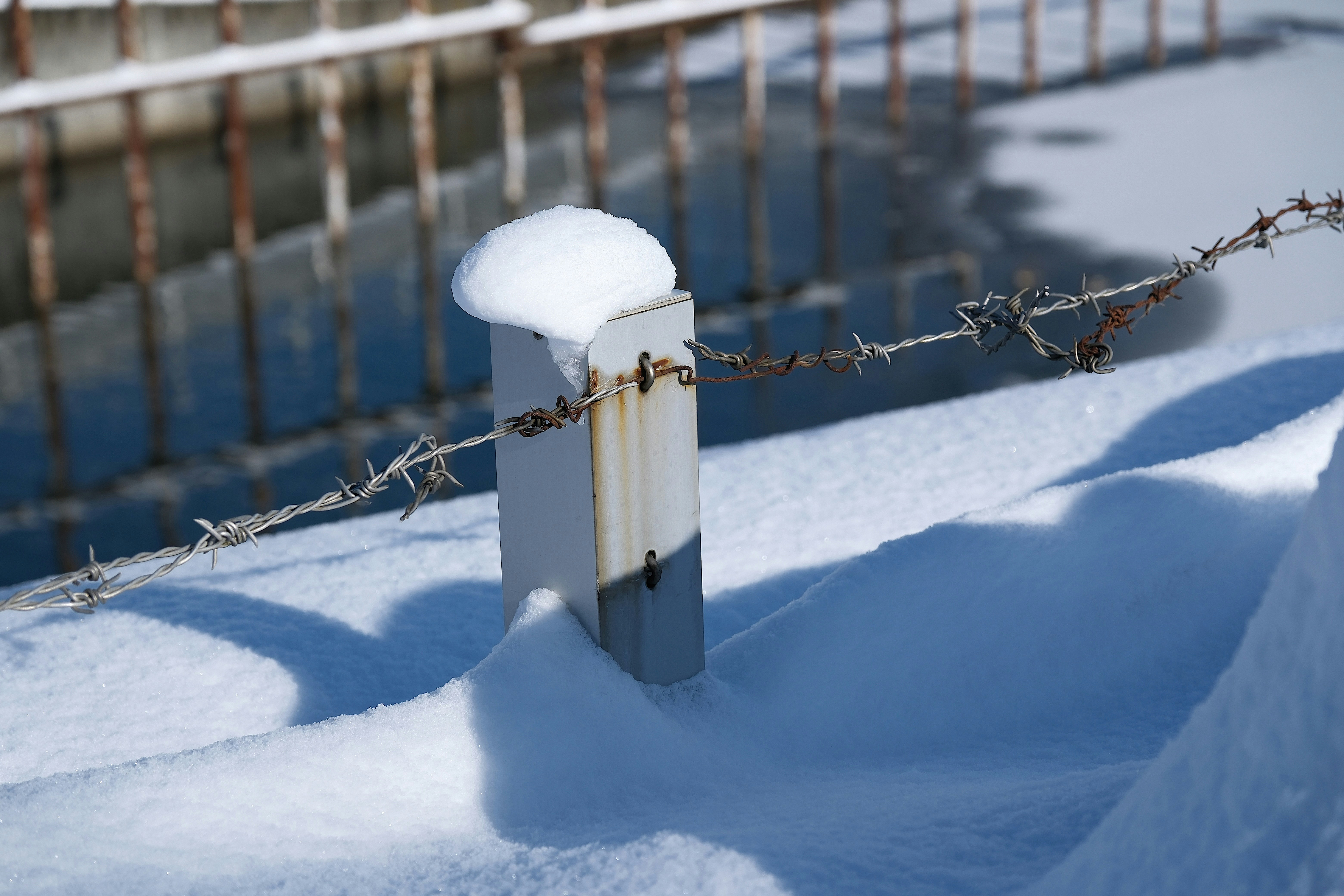 11 Fence Care Maintenance Solutions for Winter Moisture Problems