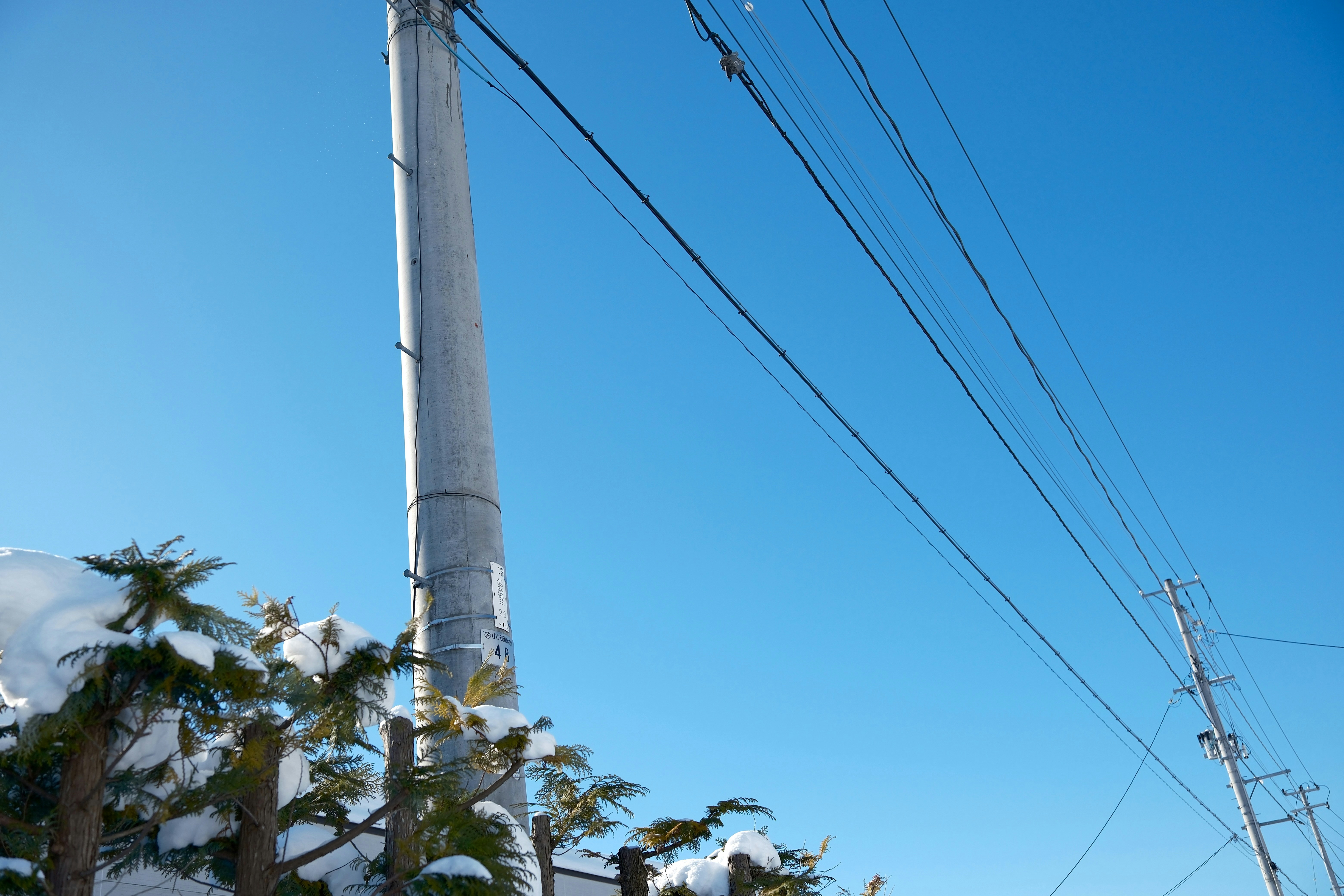 Photo by seiya_maeda