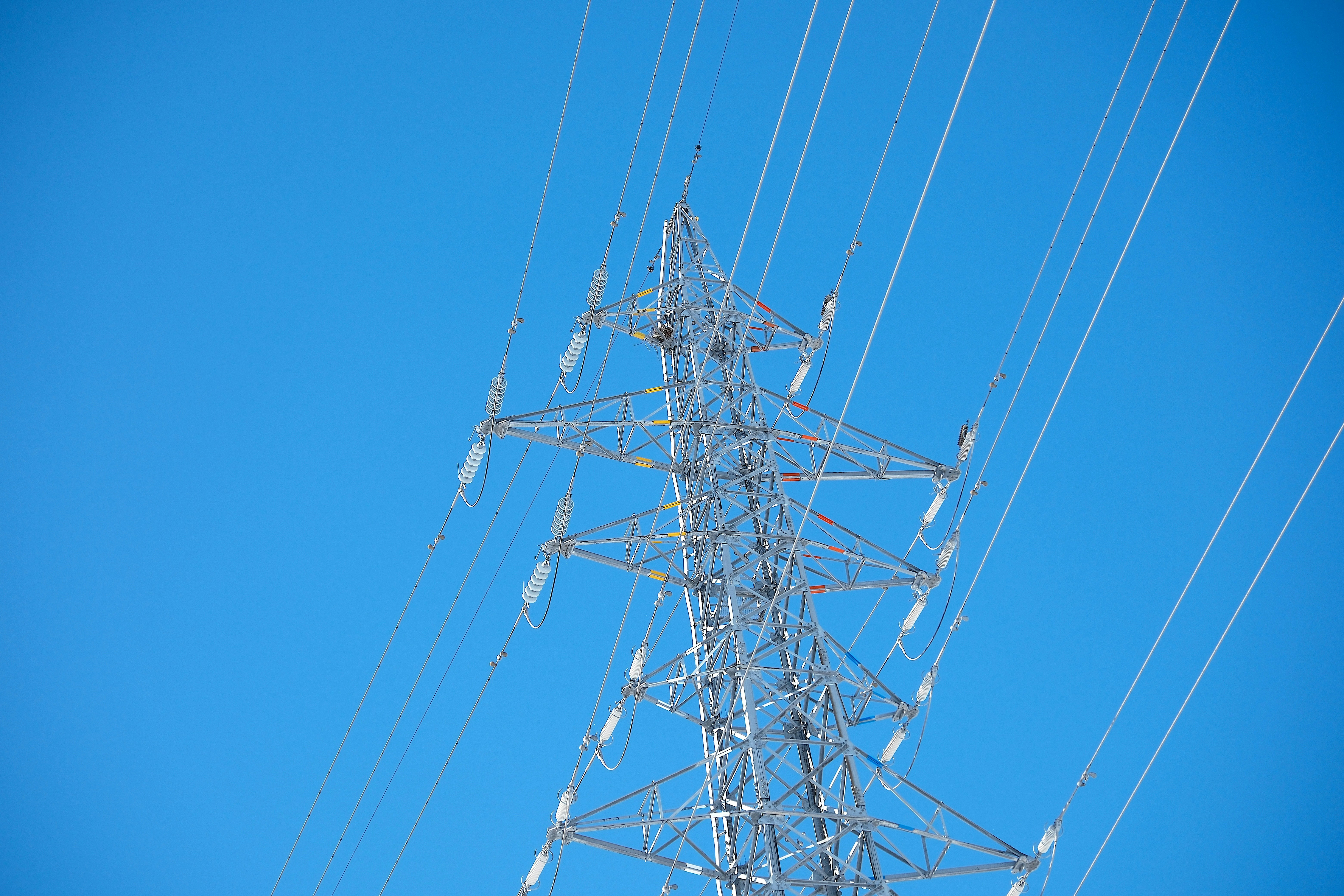 Photo by seiya_maeda