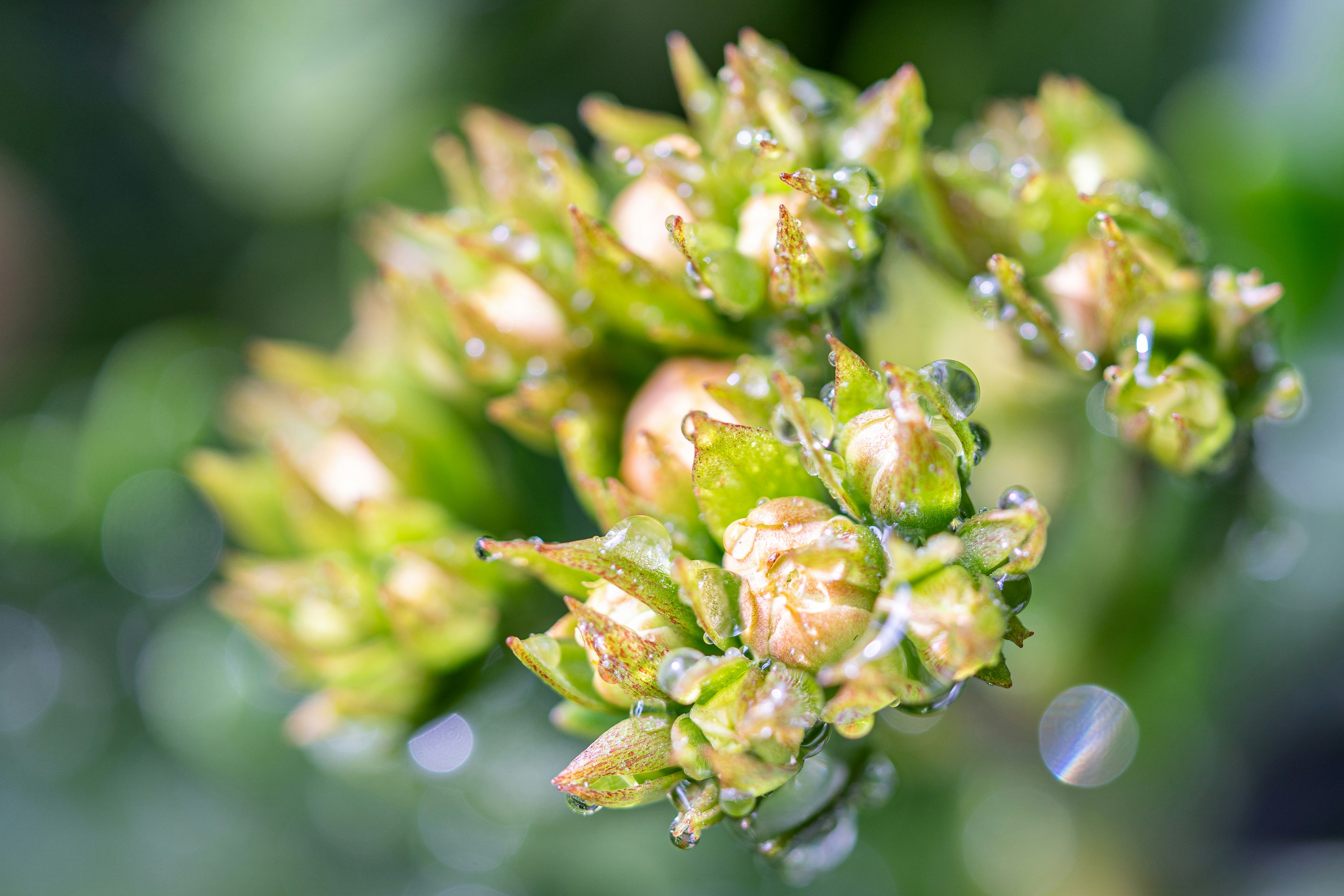 Photo by winstonchen