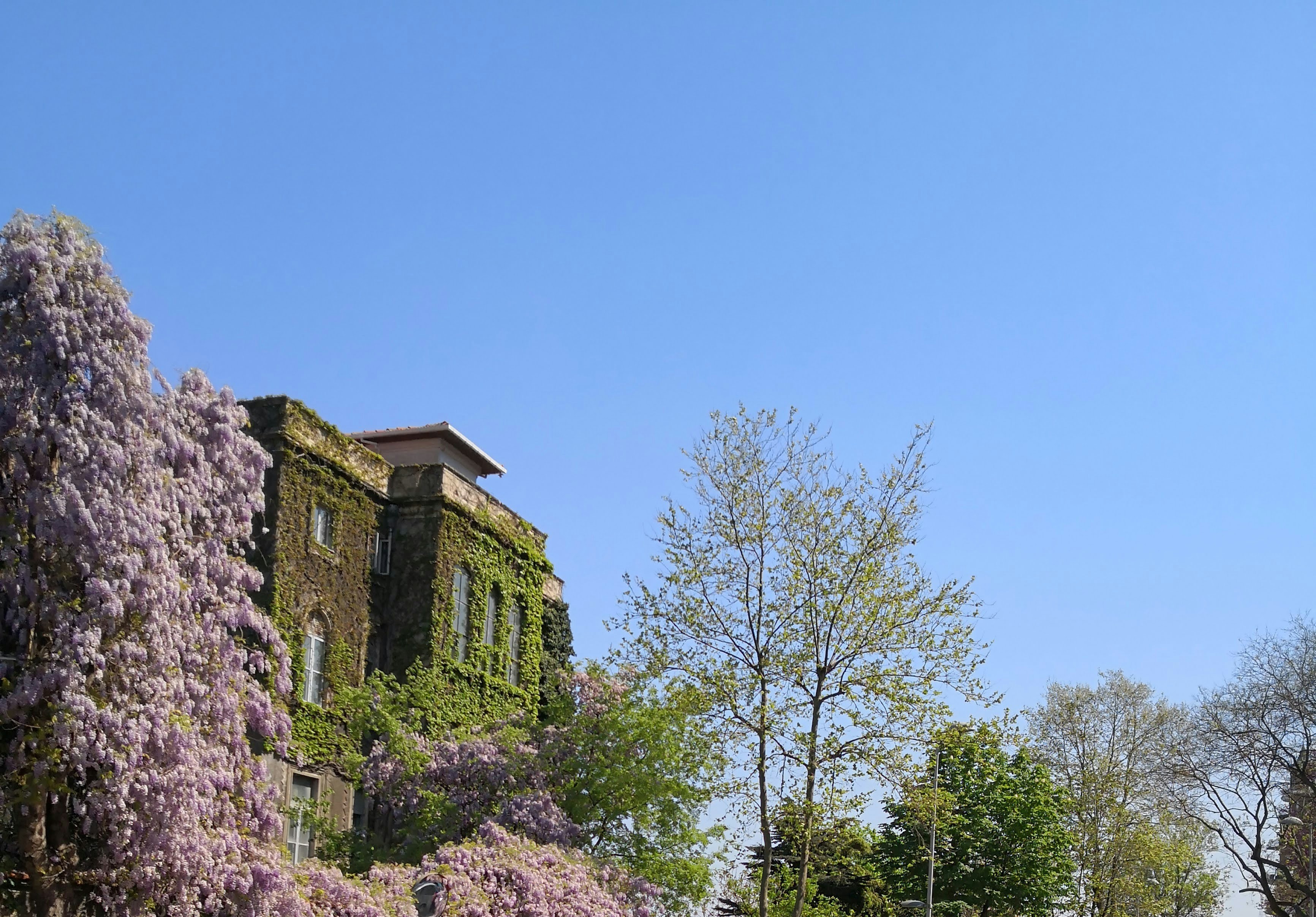 Photo by airfoil_ofo