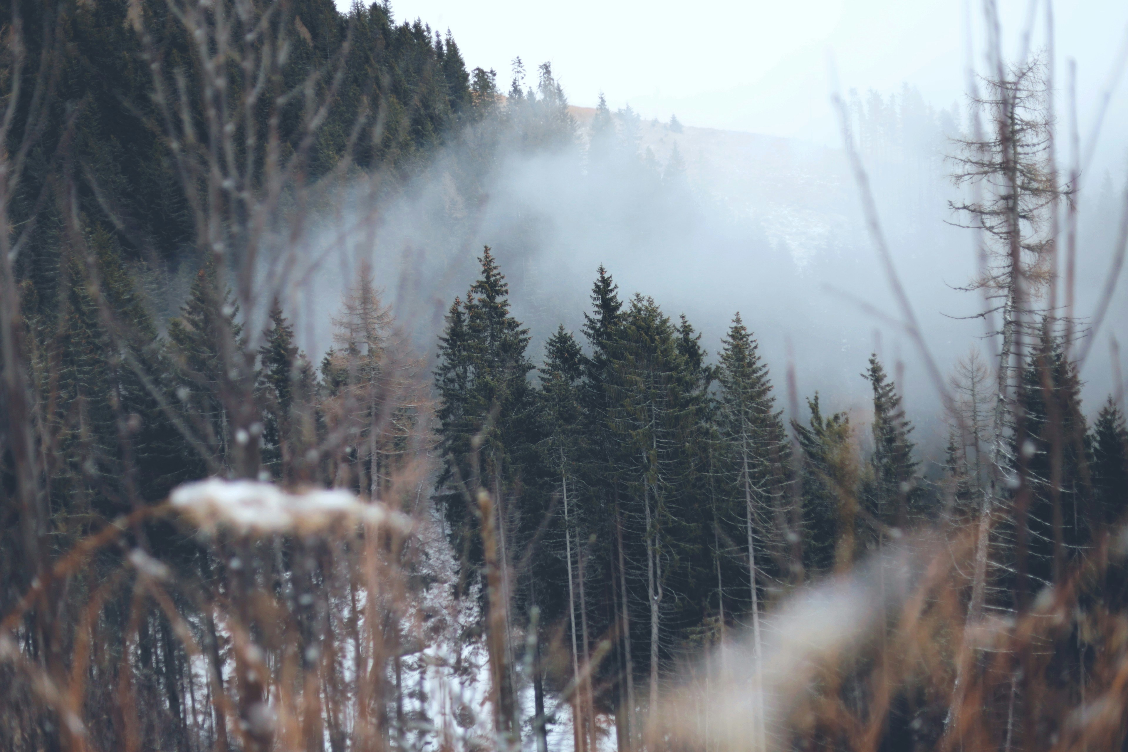 Photo by white_on_white