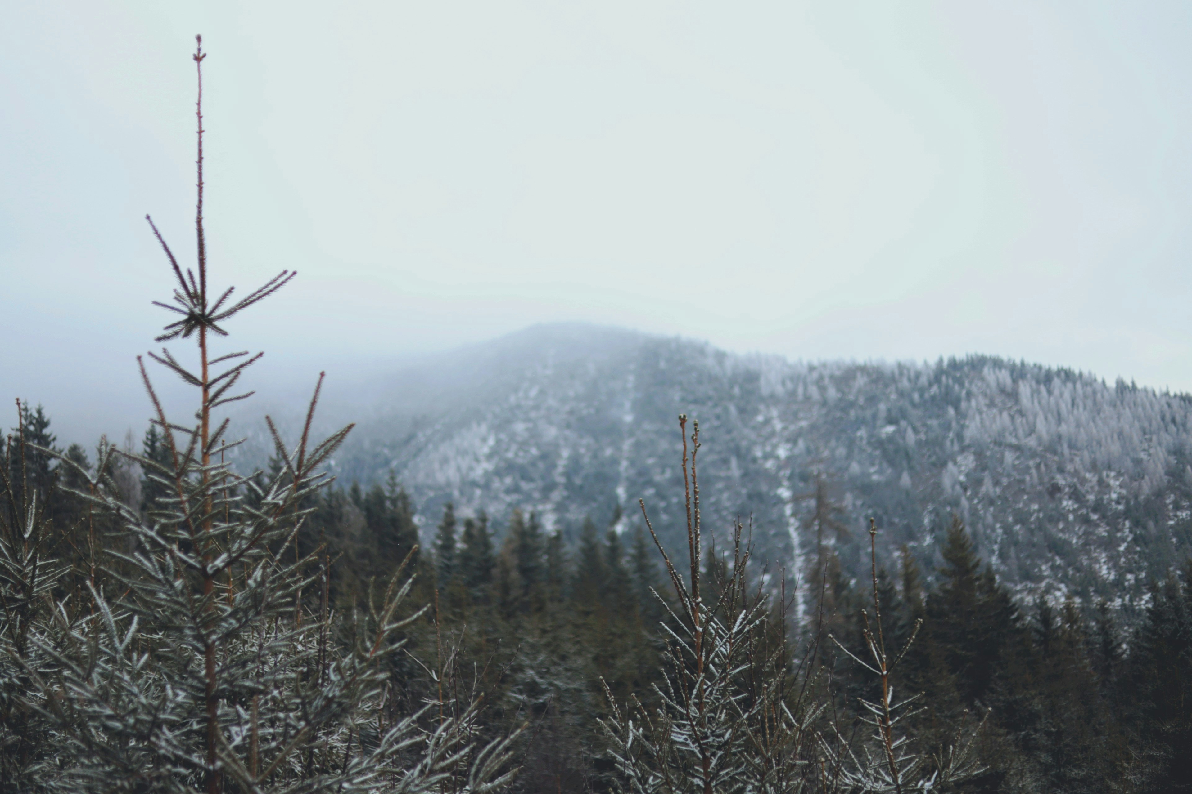 Photo by white_on_white