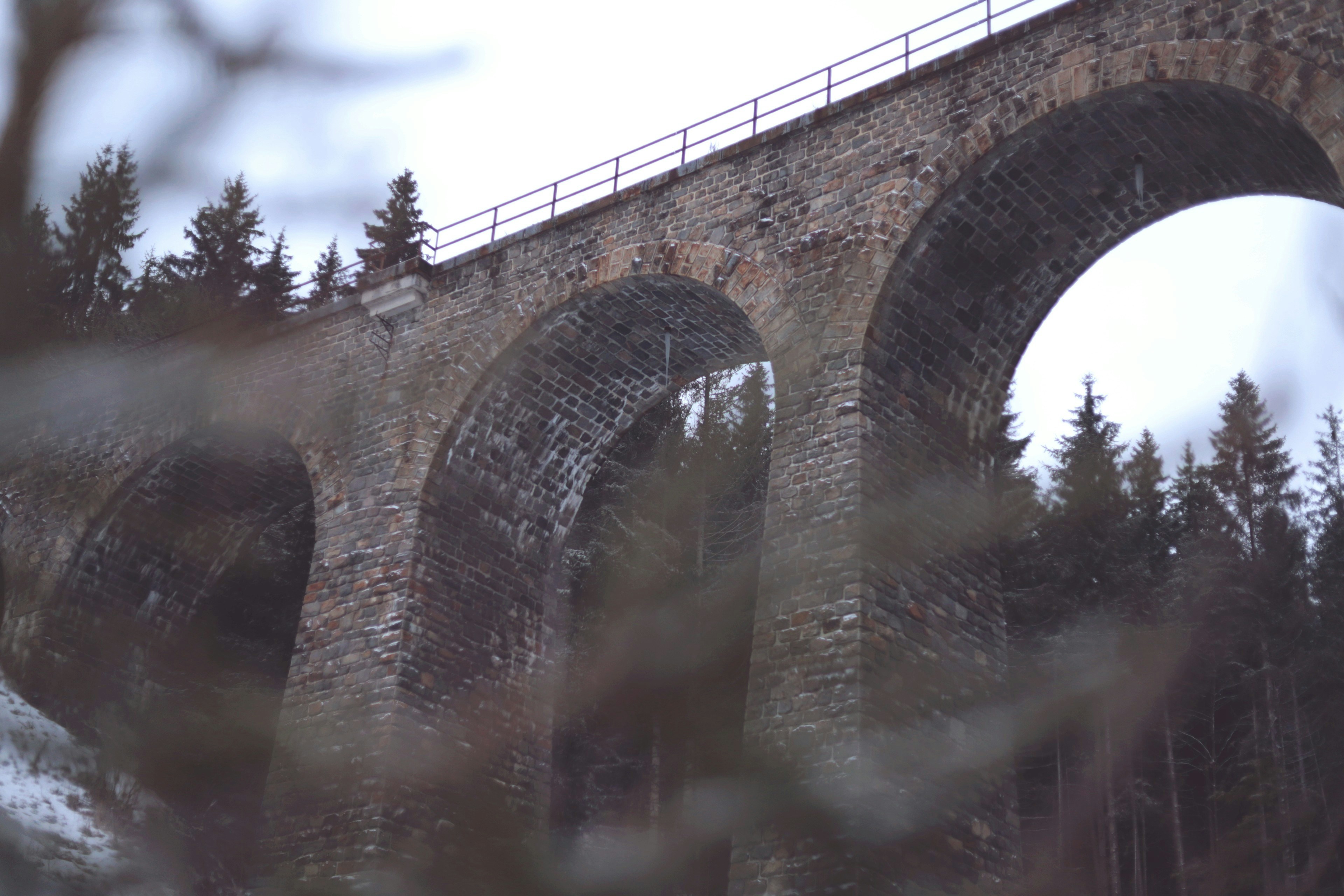 Photo by white_on_white