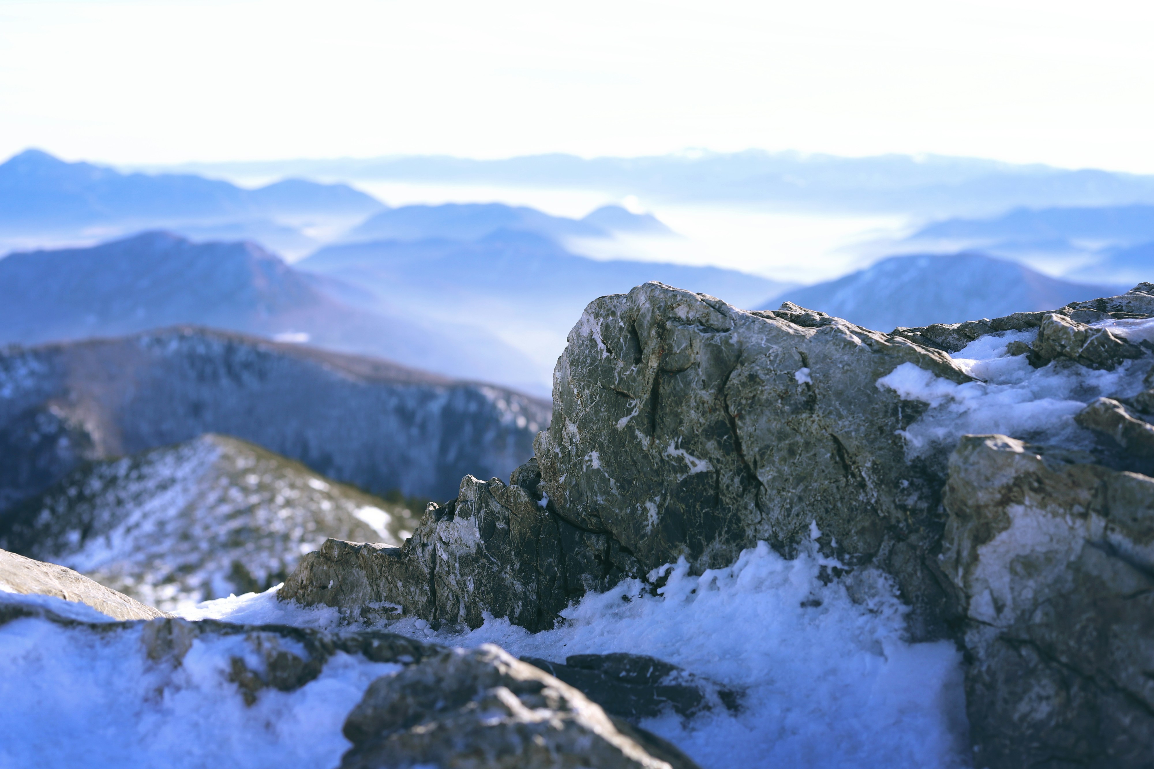 Photo by white_on_white