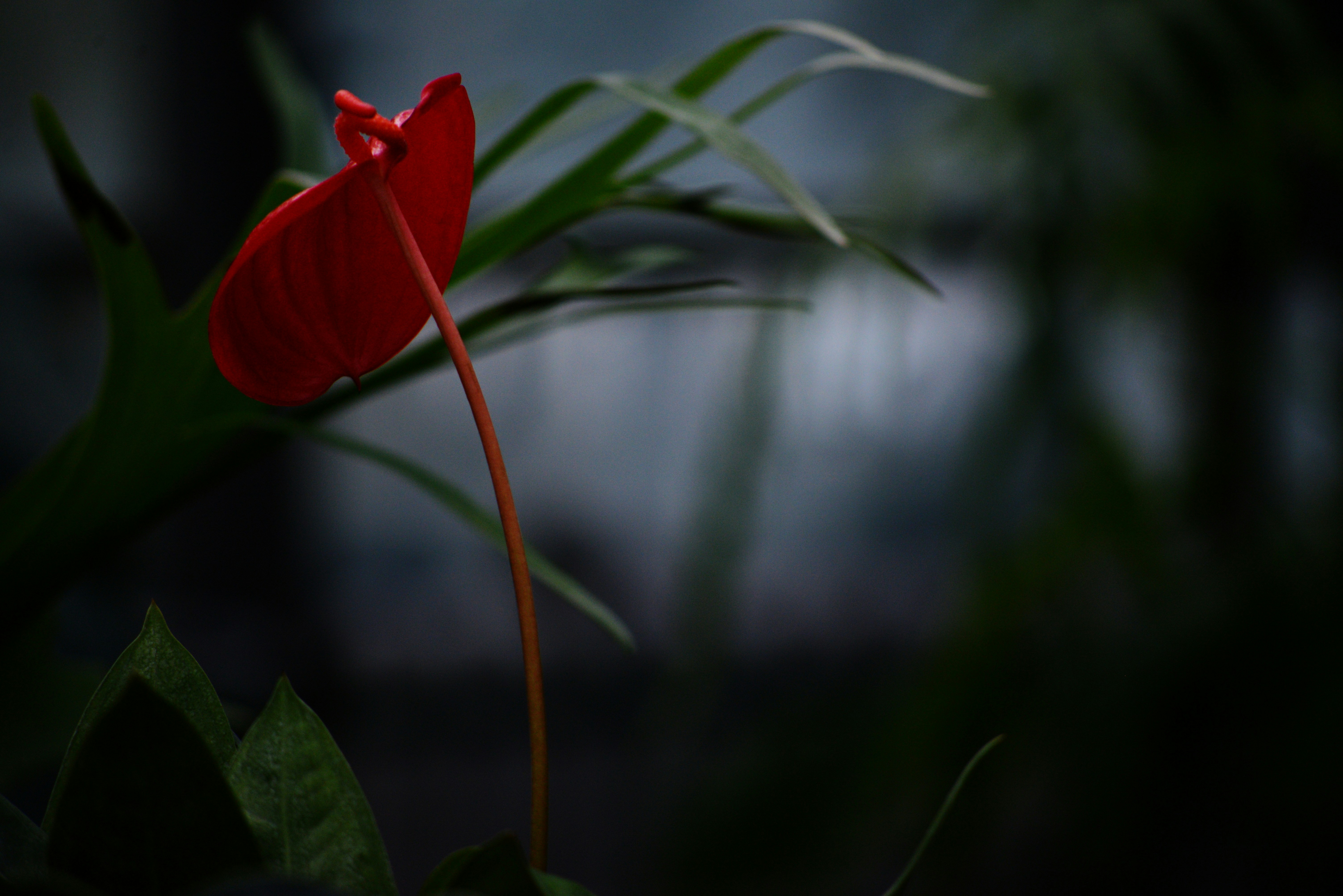 Photo by cherstve_pechivo