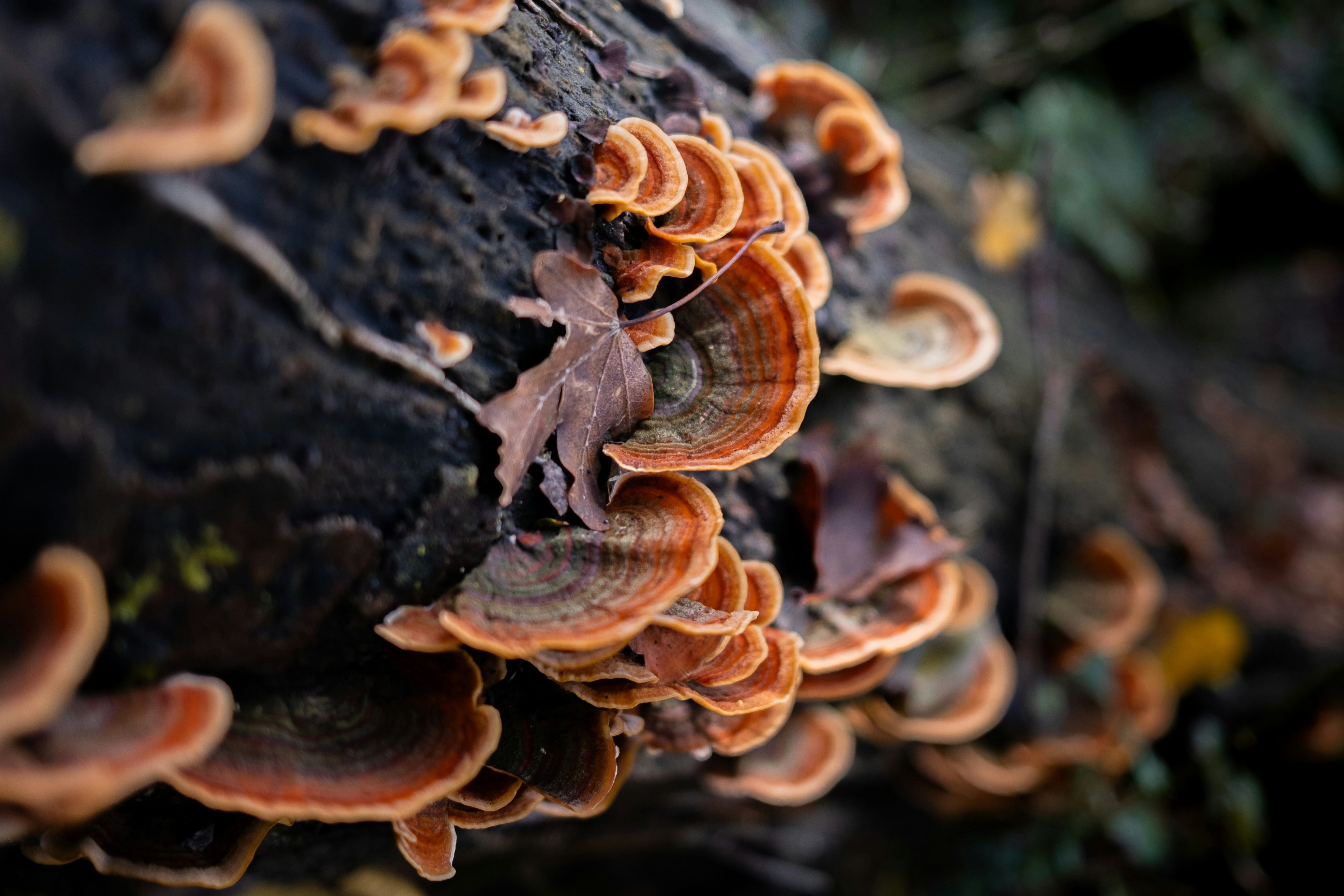 Photo by lauraespana