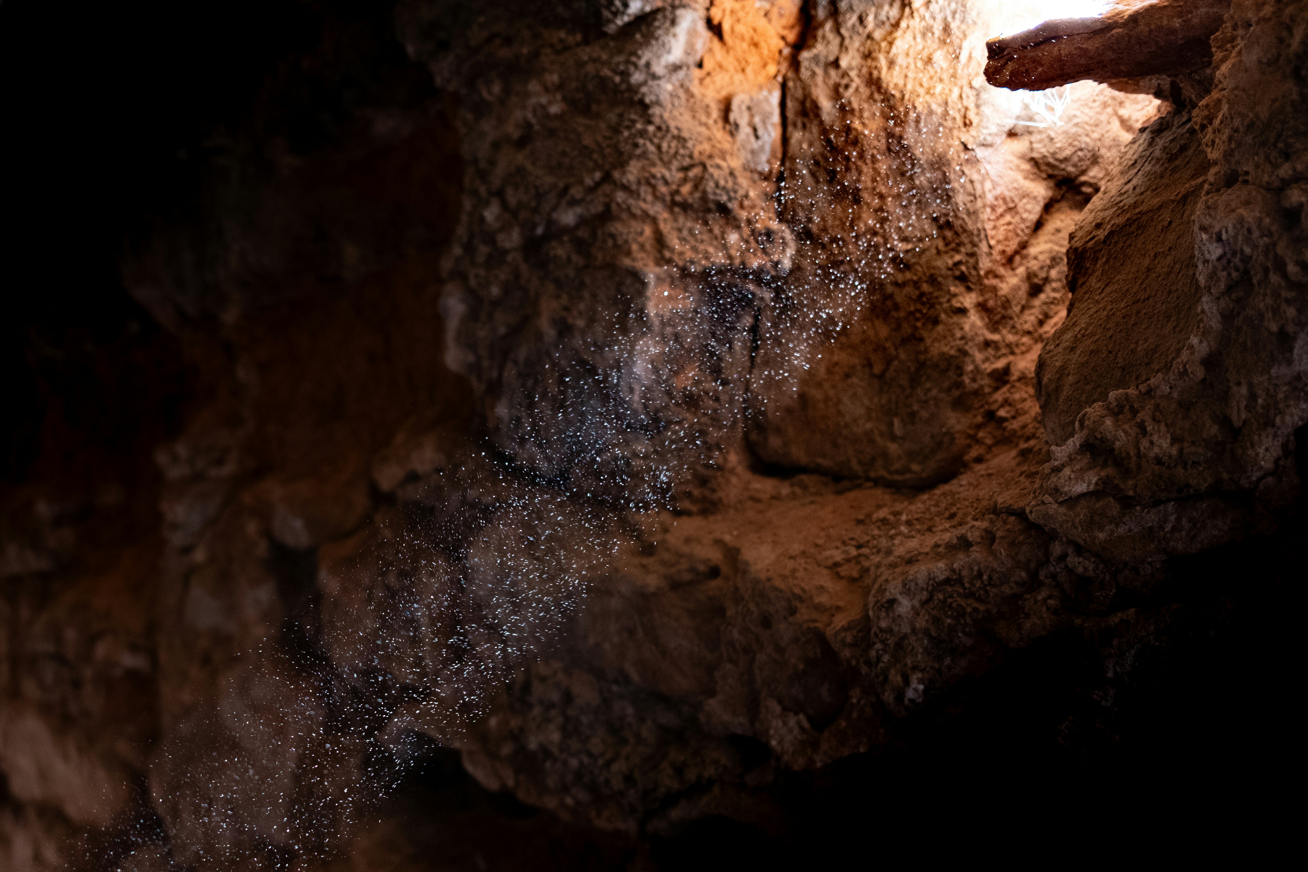 Photo by lauraespana