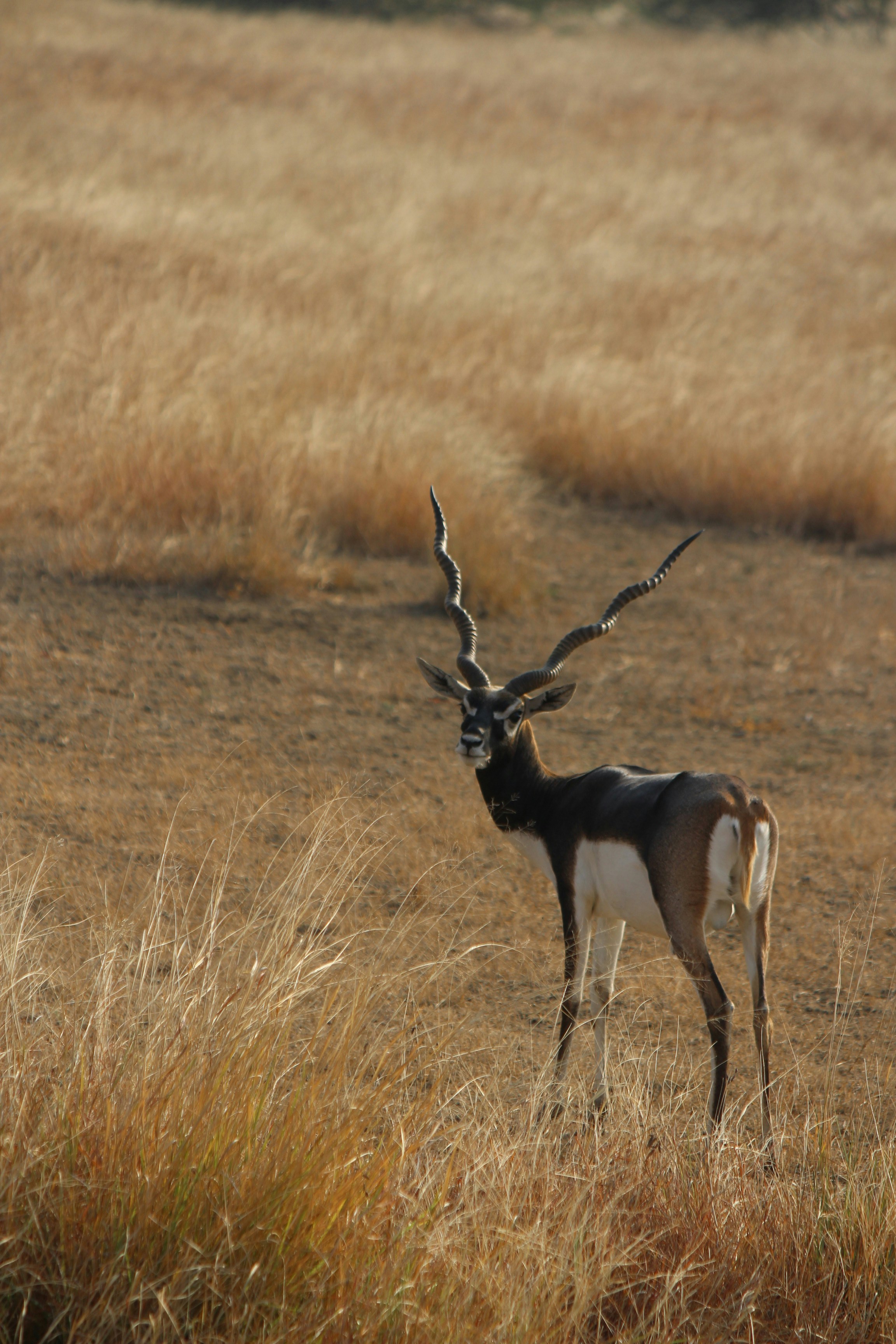 Photo by redszoomout