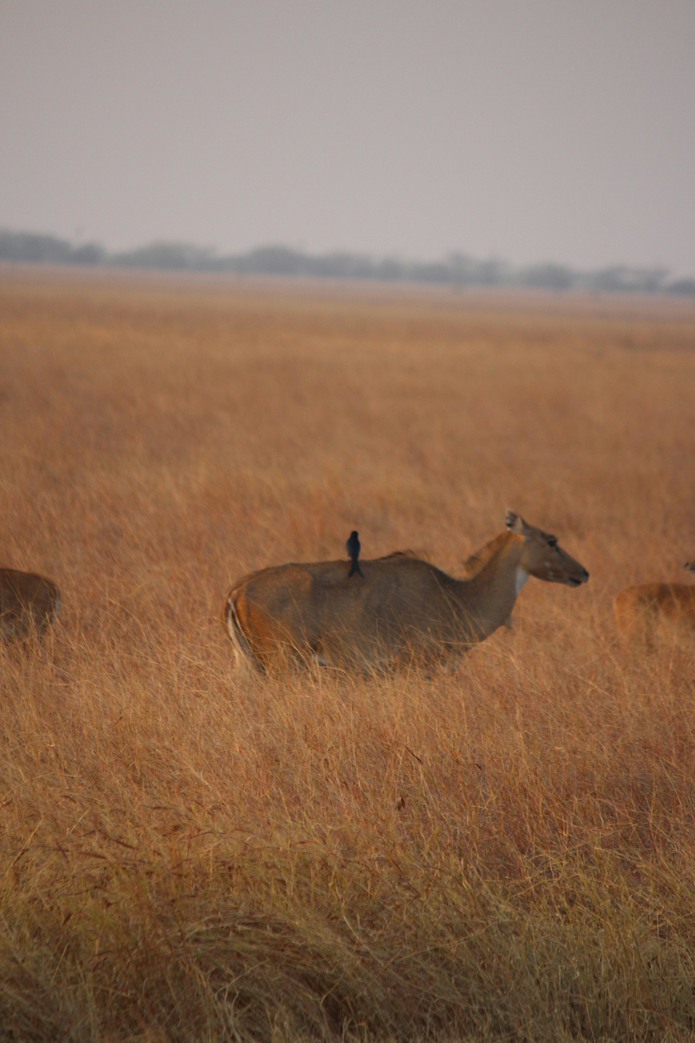 Photo by redszoomout