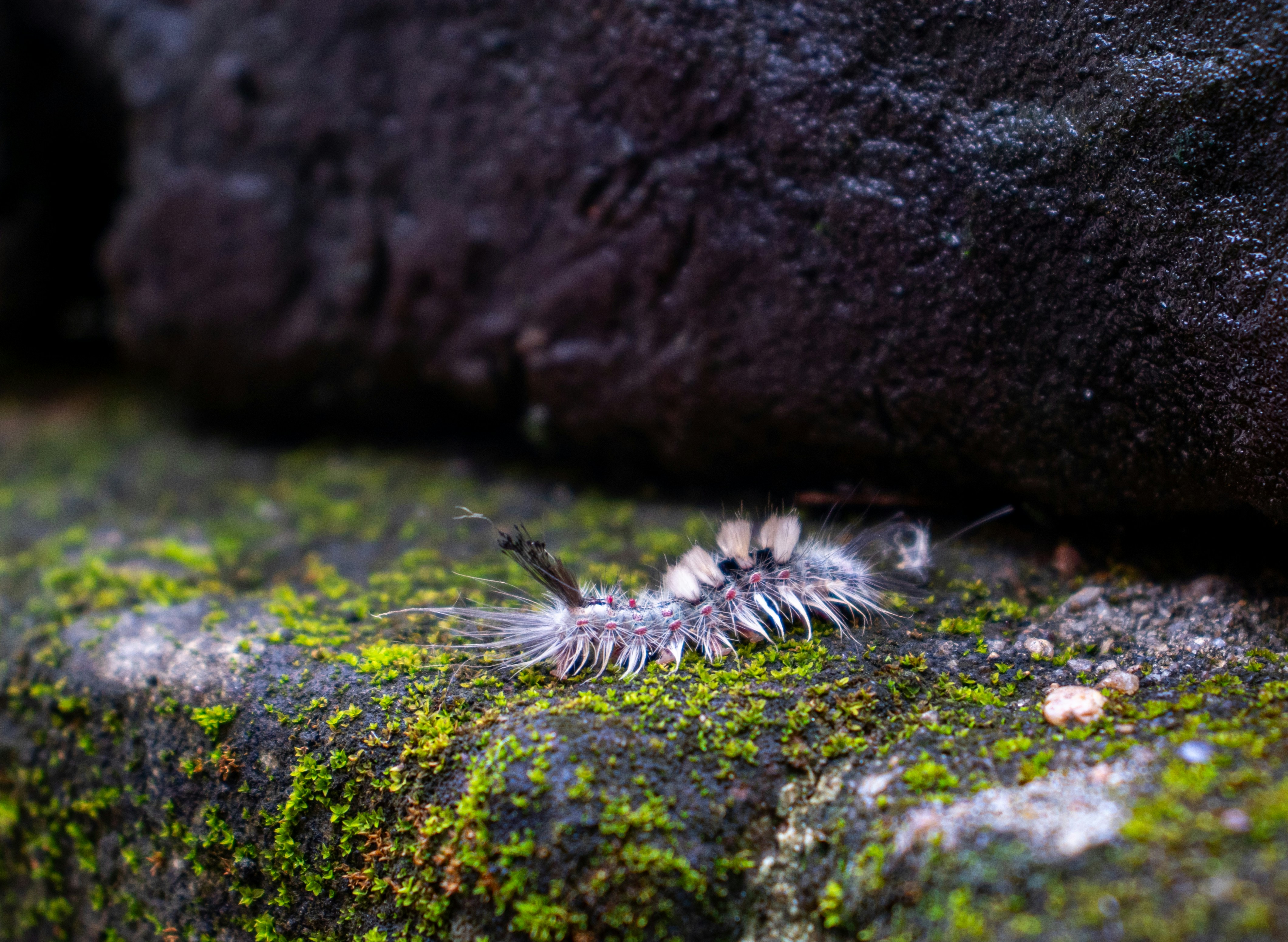 Photo by jpninanjohn