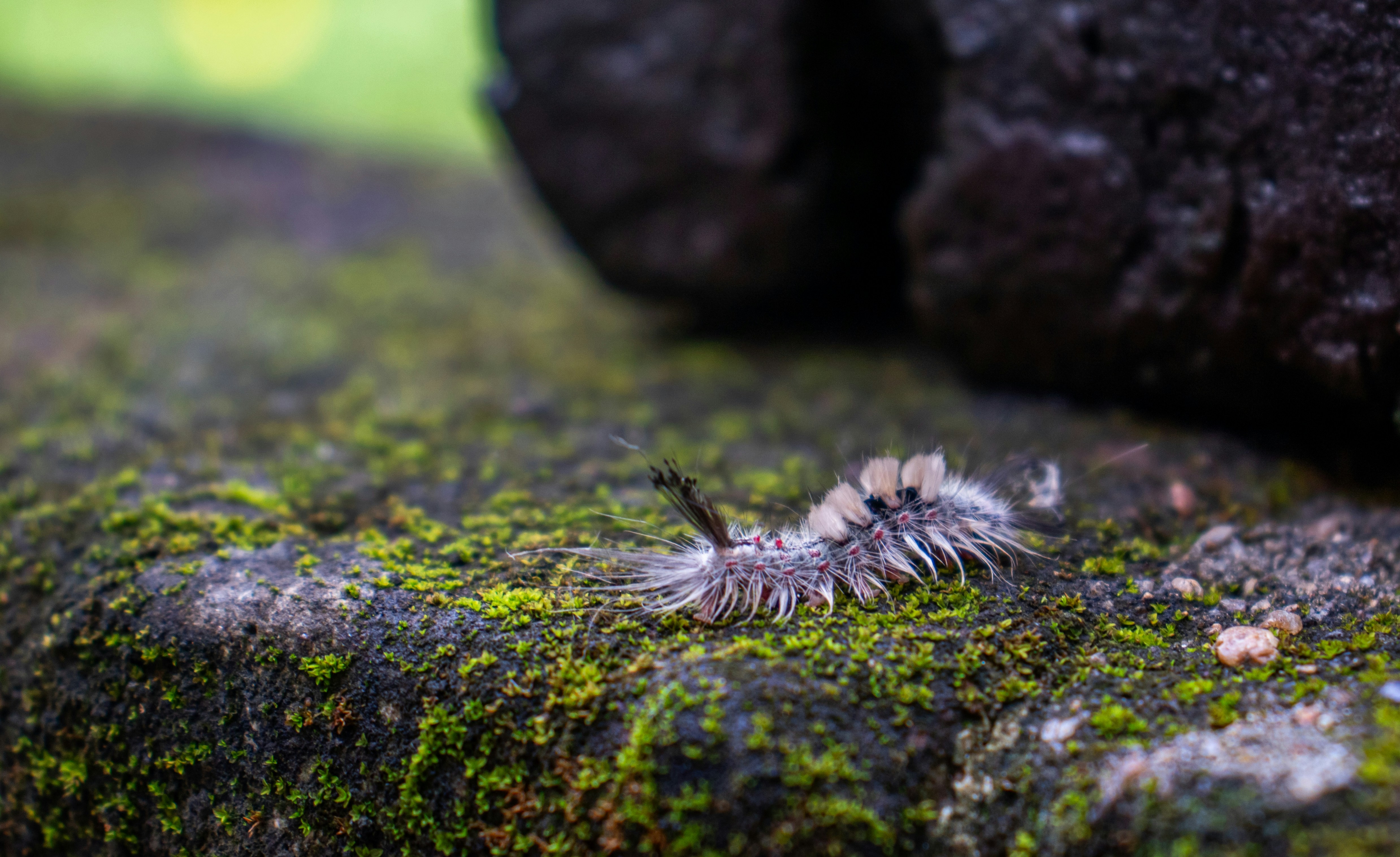 Photo by jpninanjohn