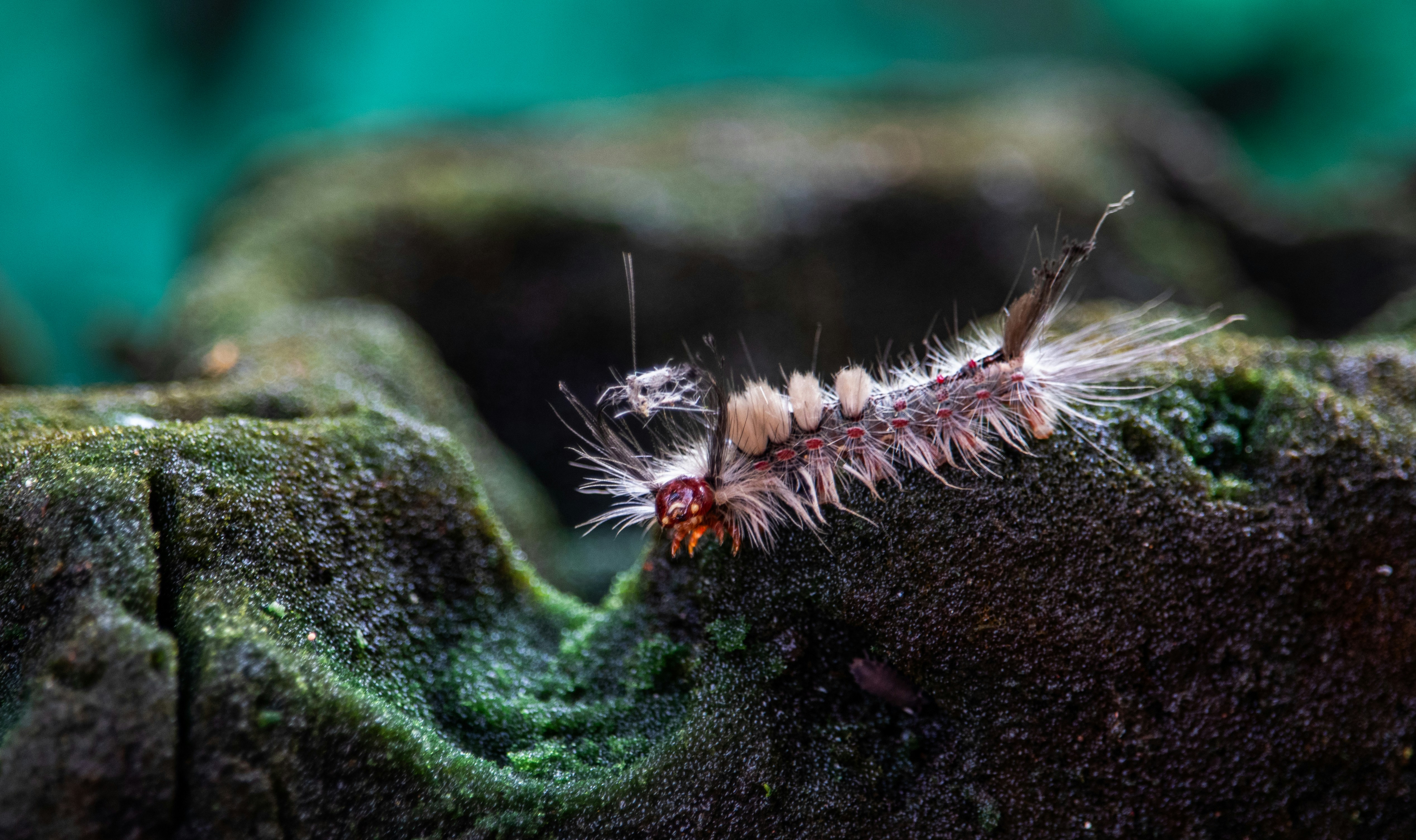 Photo by jpninanjohn