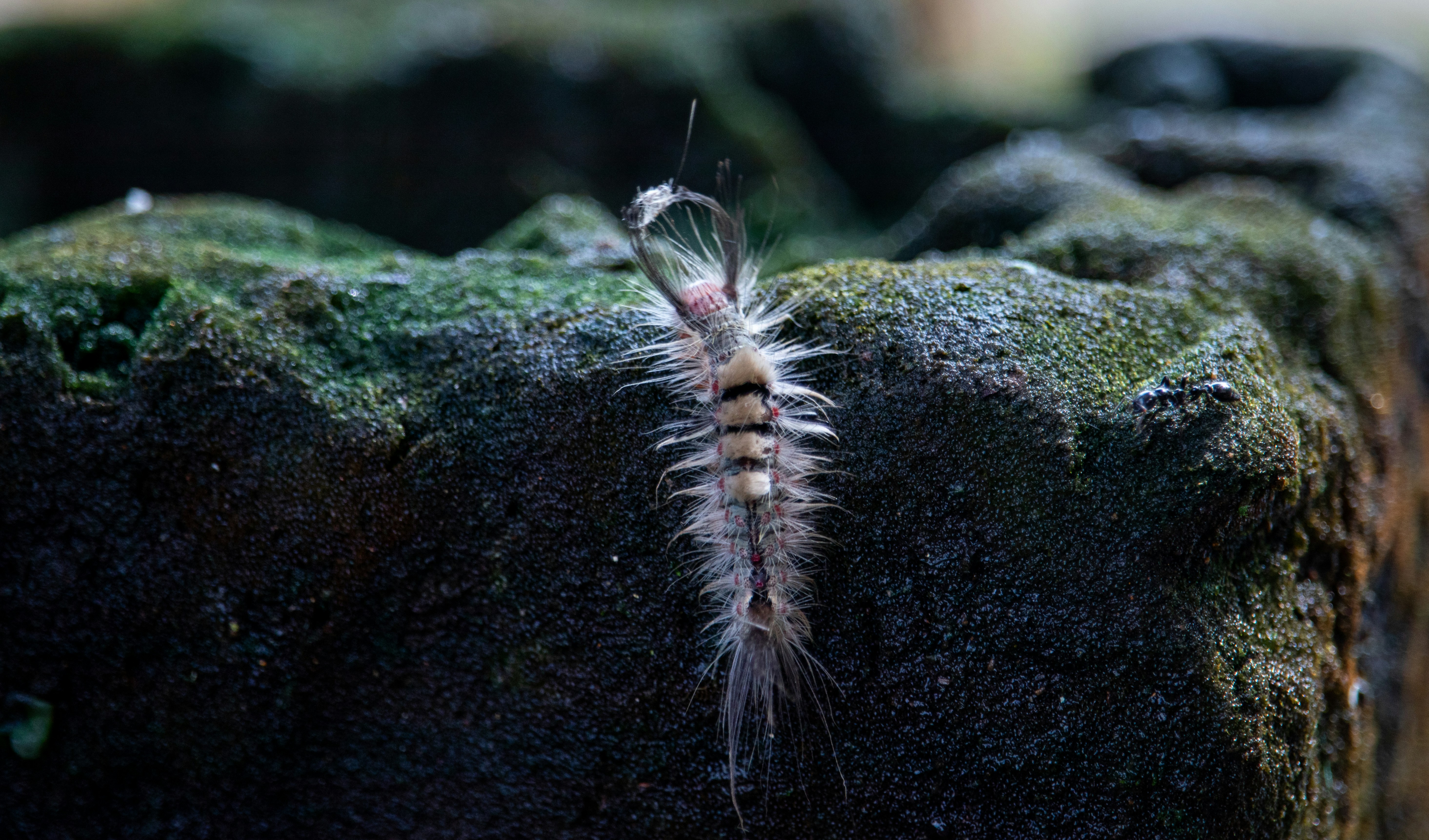 Photo by jpninanjohn