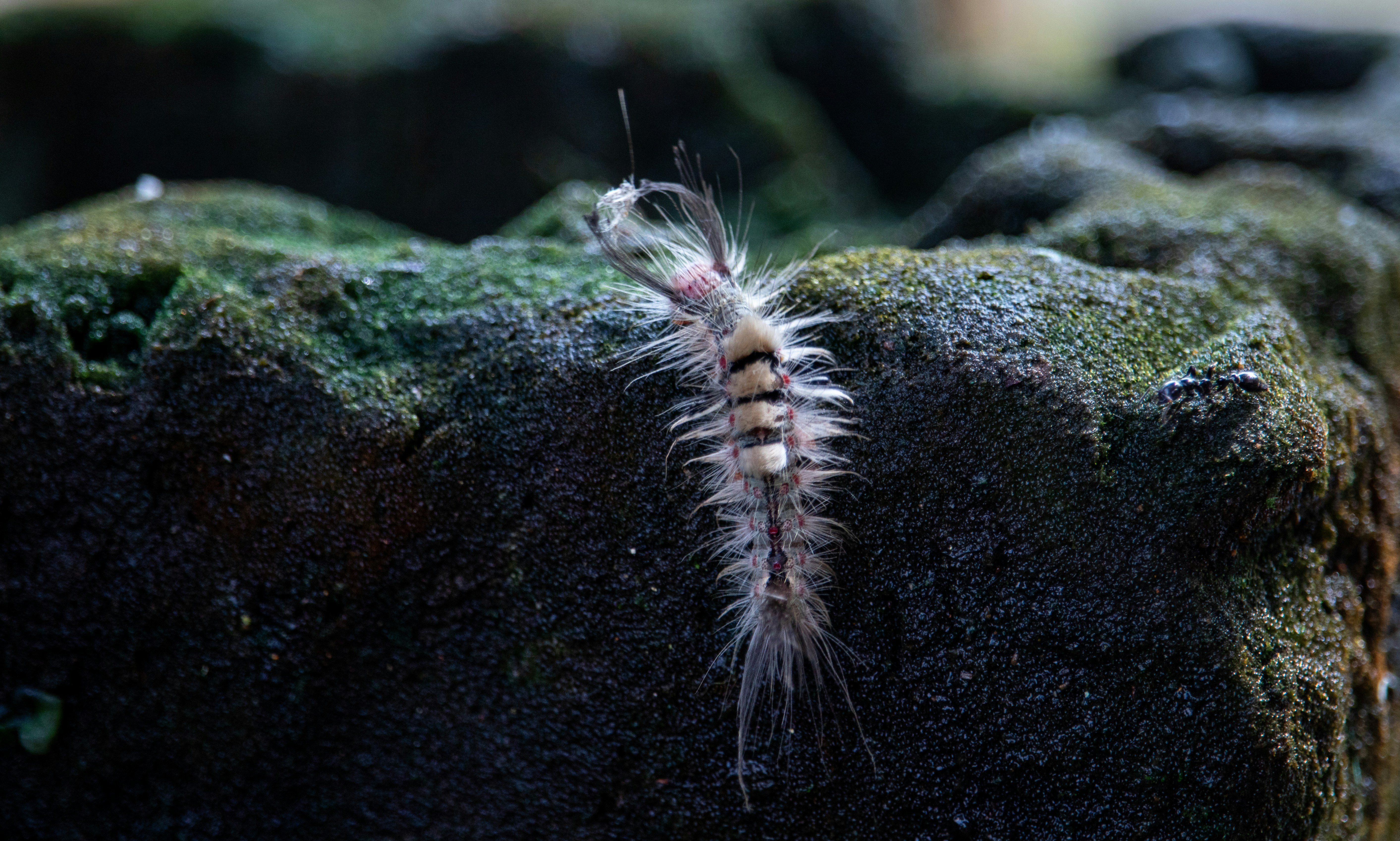 Photo by jpninanjohn