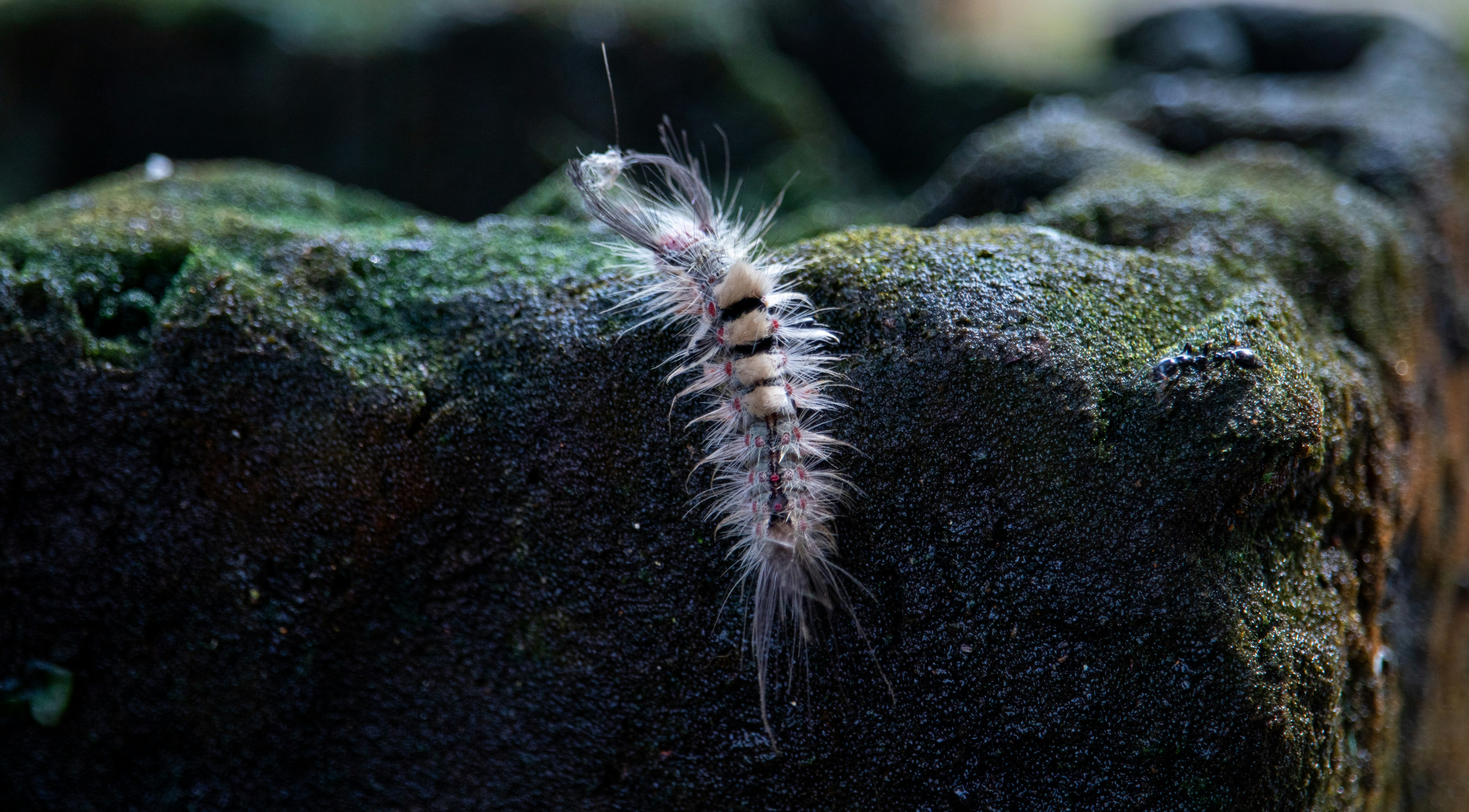 Photo by jpninanjohn